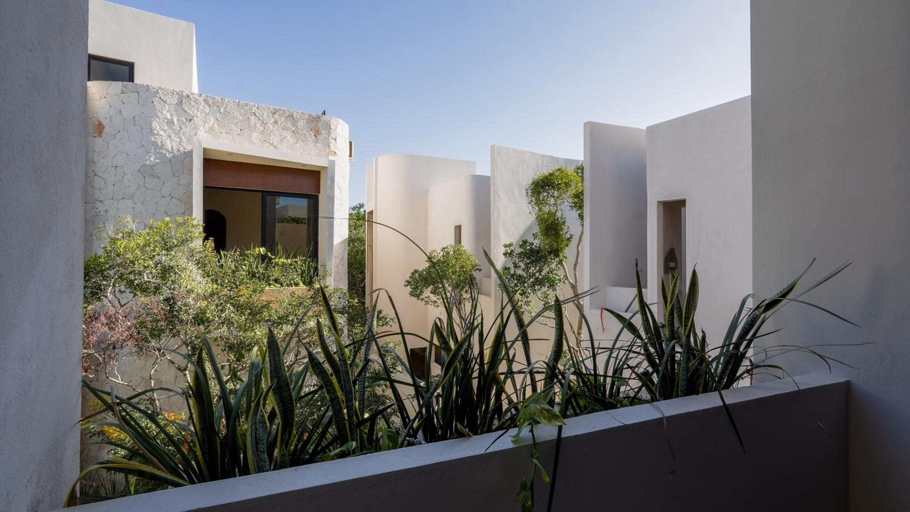 Divine House with private roof and pool only 1km from the Beach