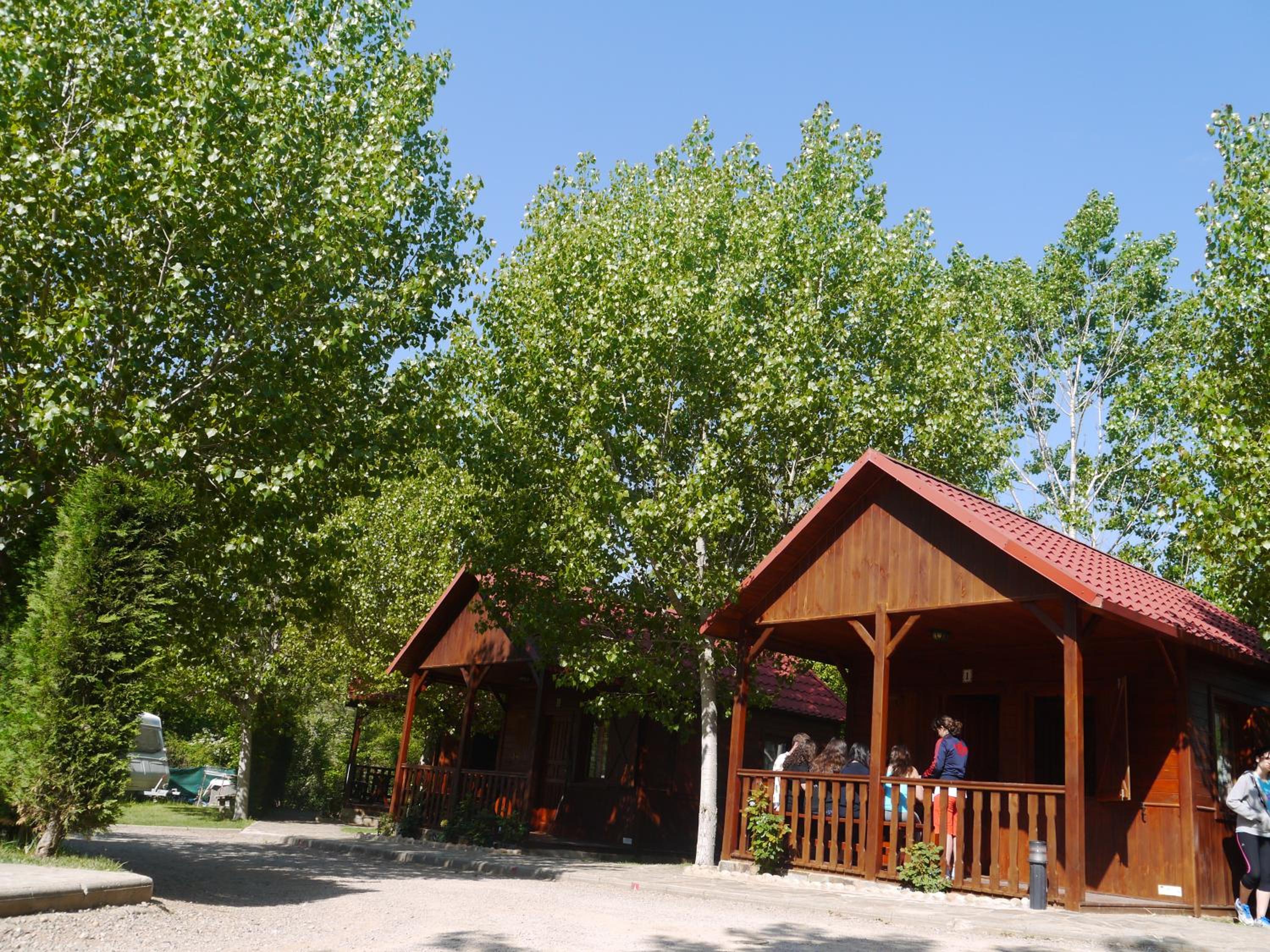 Photo 40