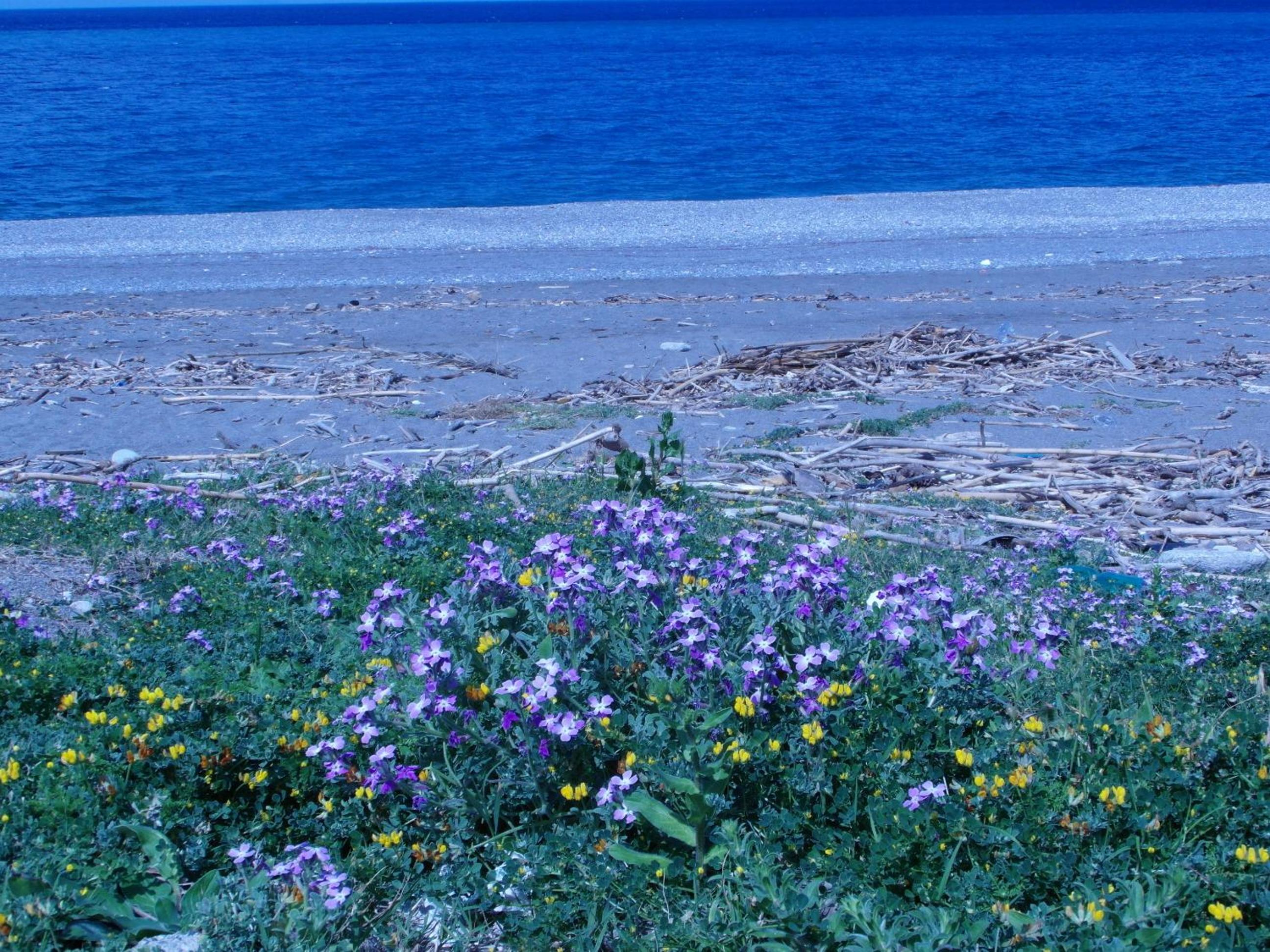 Agriturismo Il Gelsomino Ritrovato