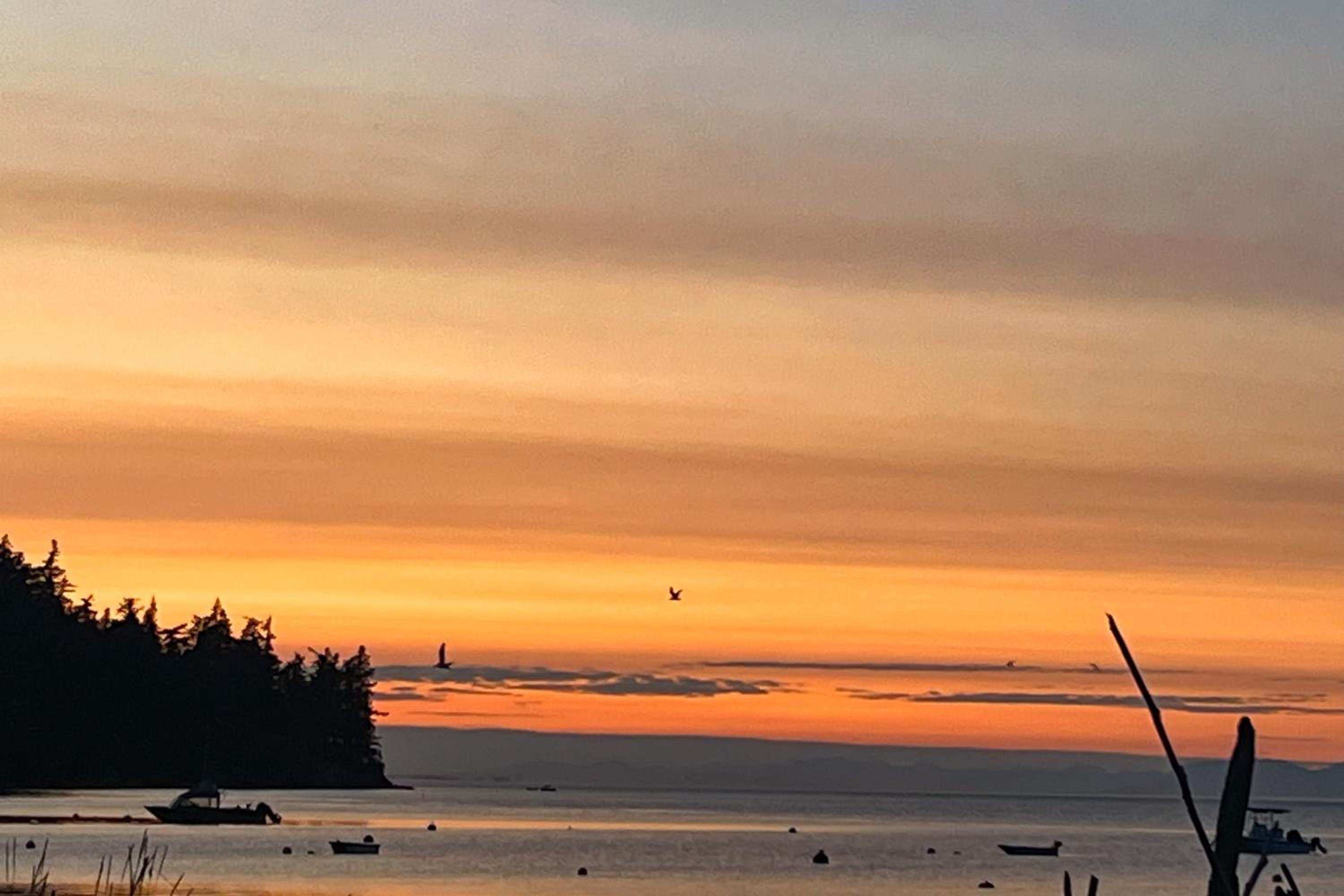 Hot Tub and Mtn Views Lummi Island Home Near Beach