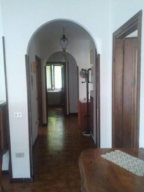 Photo 34