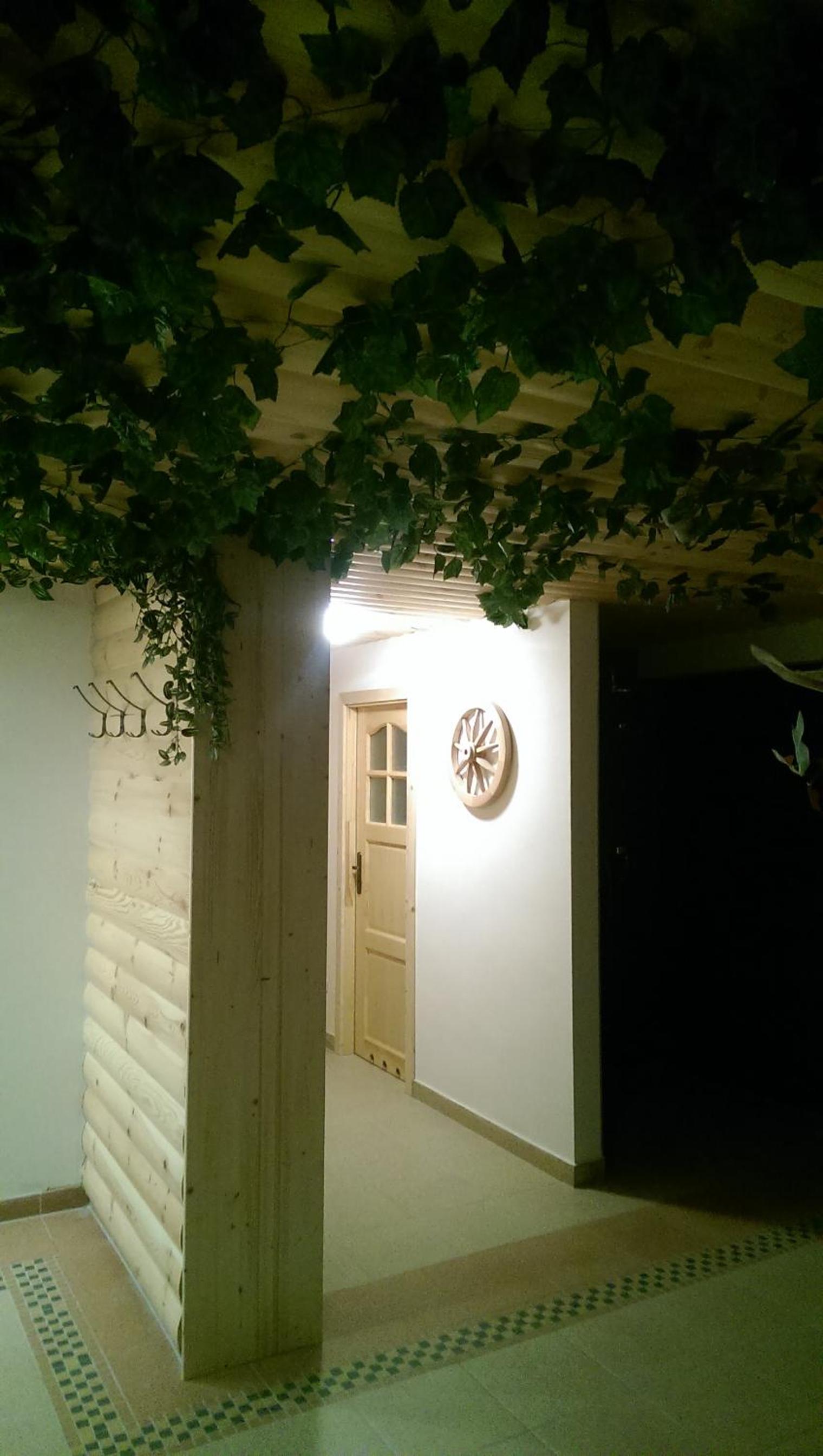 Photo 44