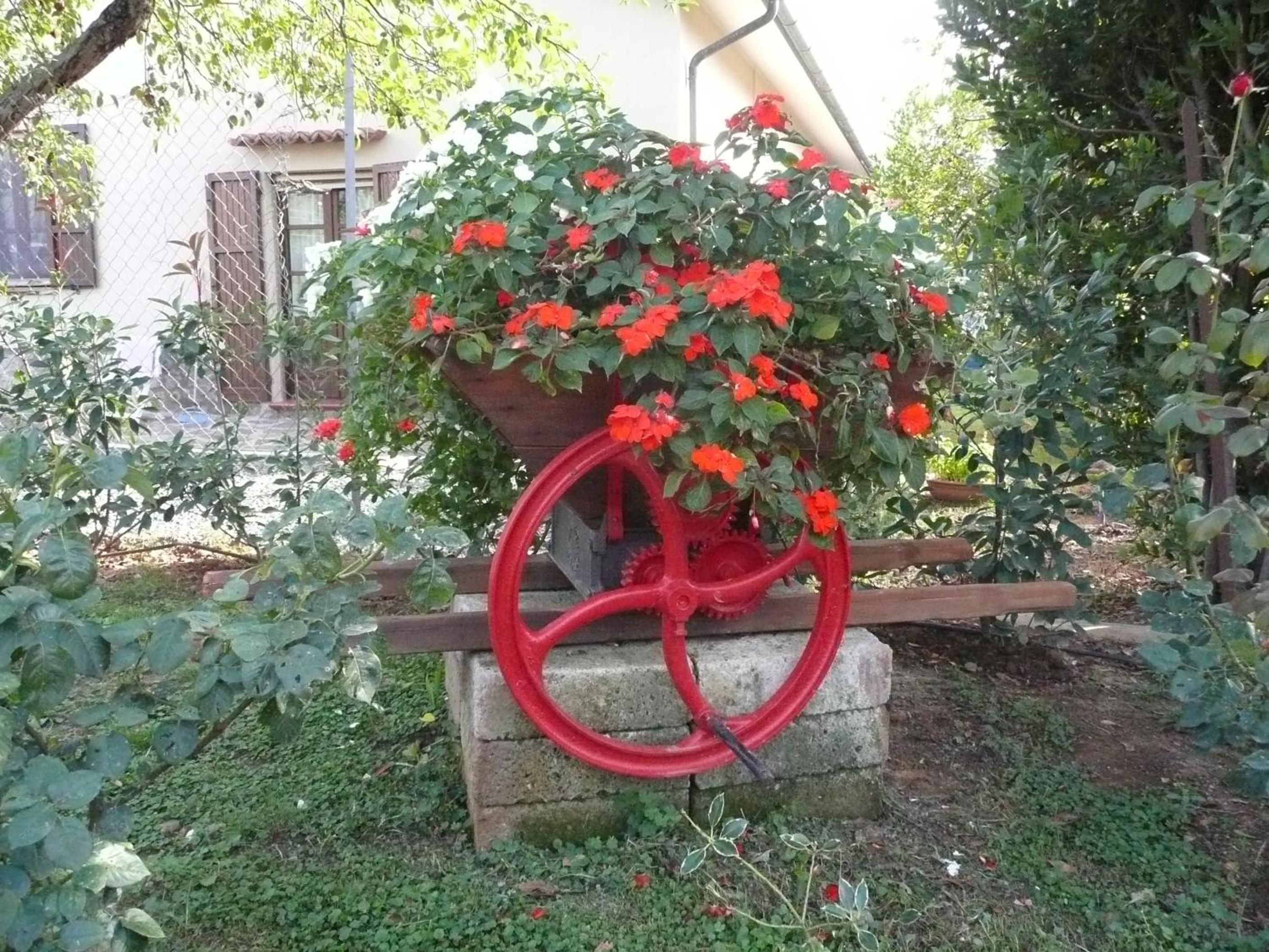 Photo 18