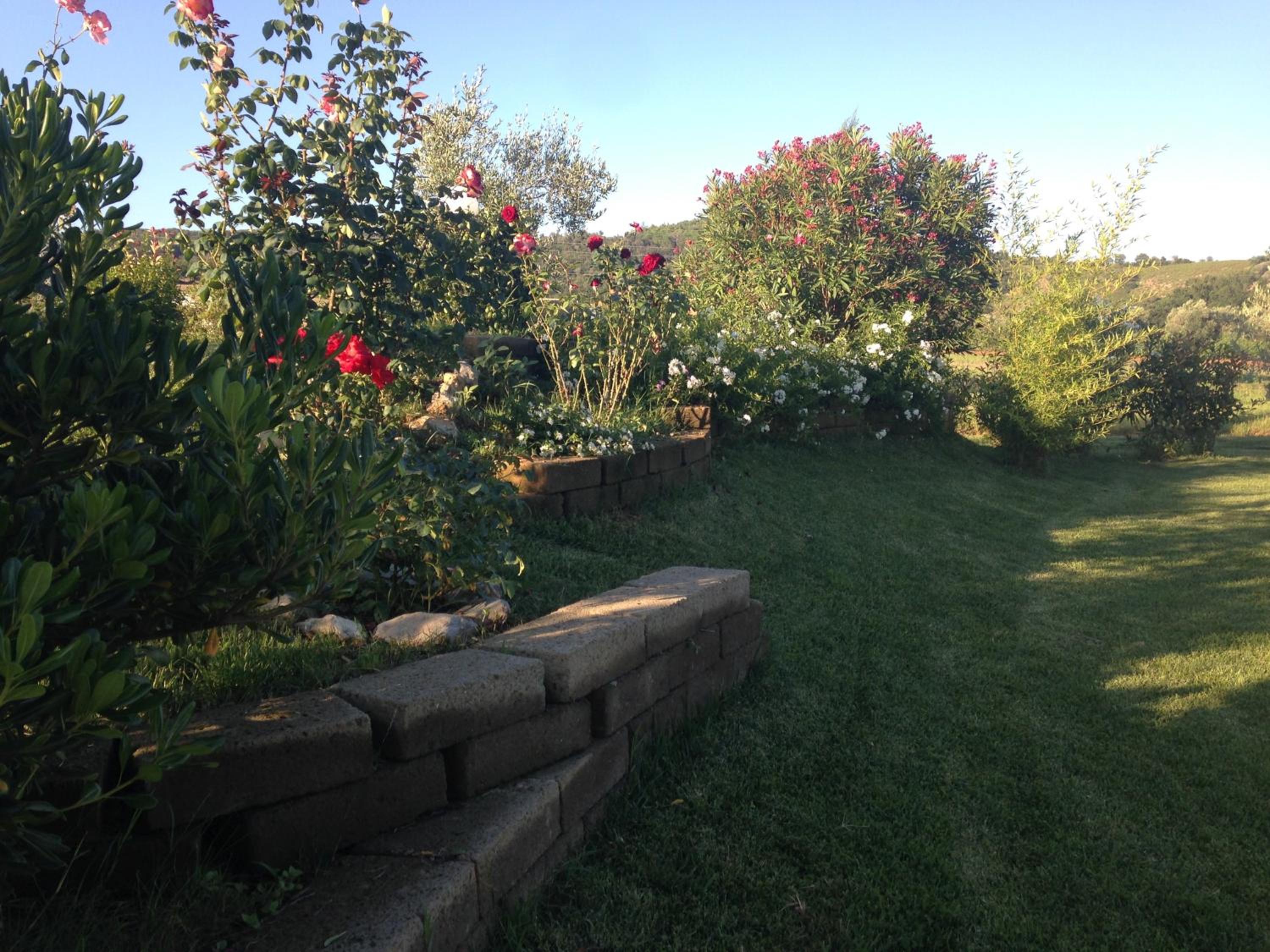 Photo 20