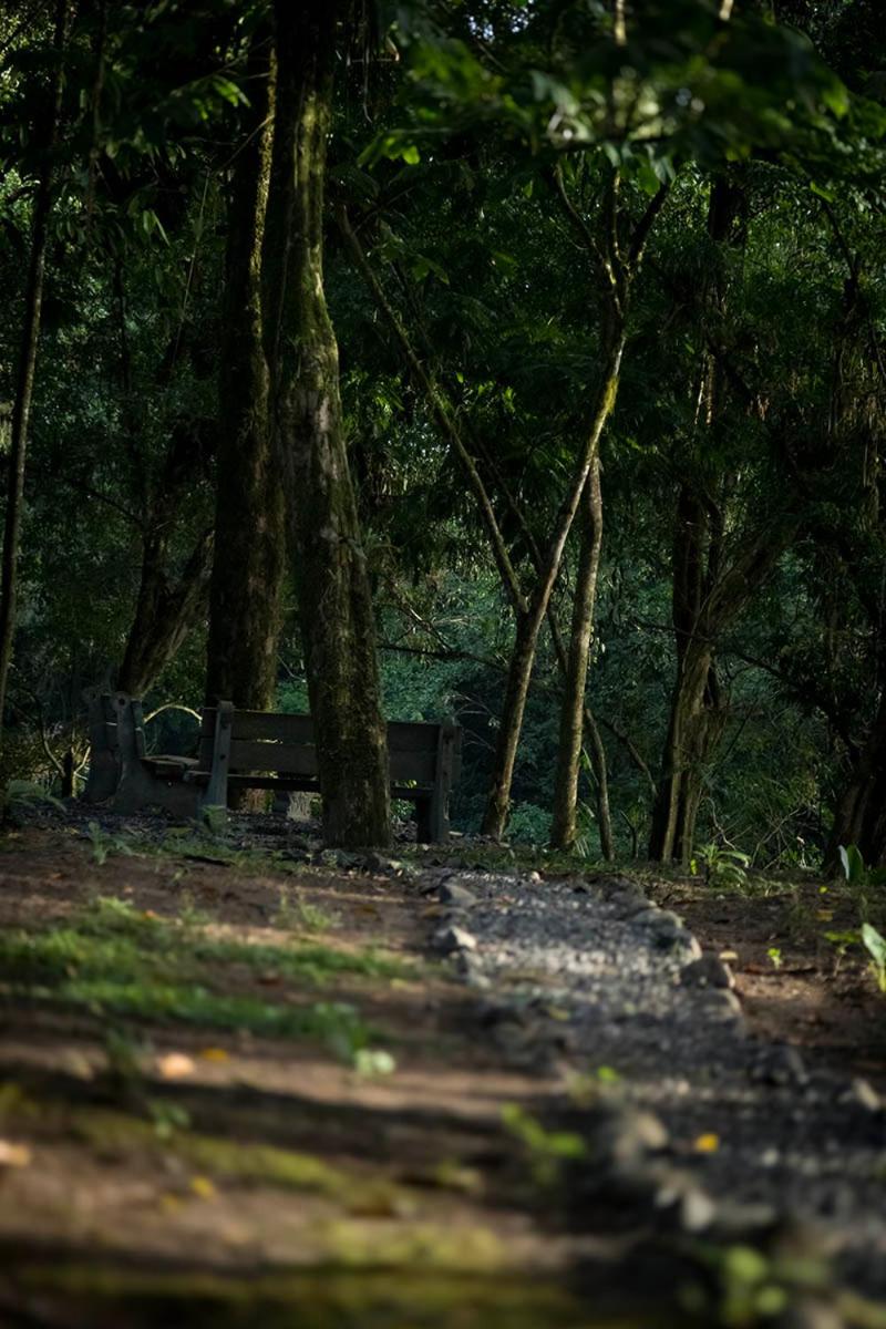 Río Sarapiquí Lodge