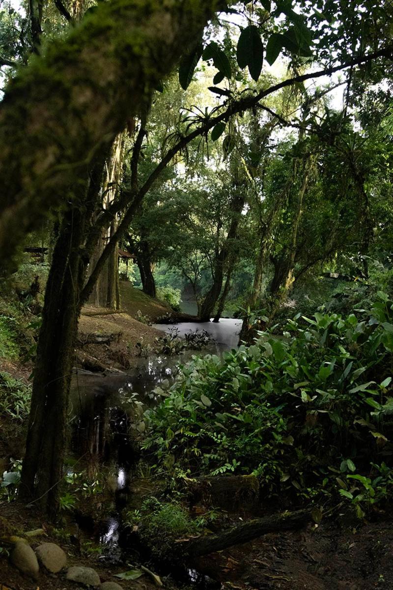 Río Sarapiquí Lodge