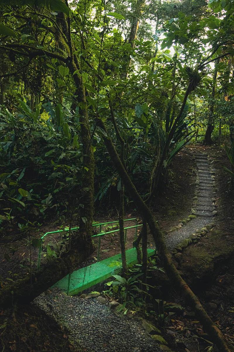 Río Sarapiquí Lodge