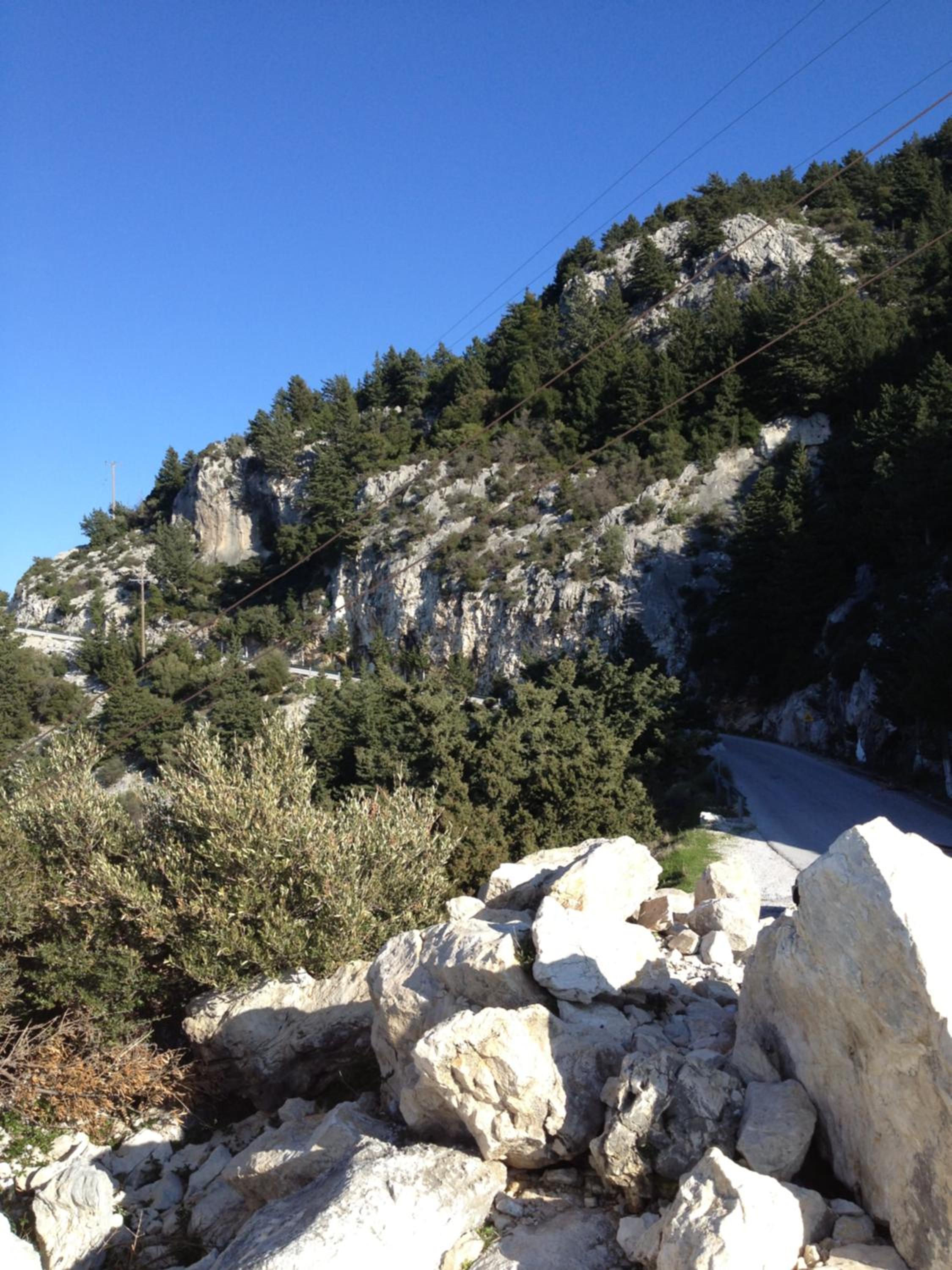 Photo 43