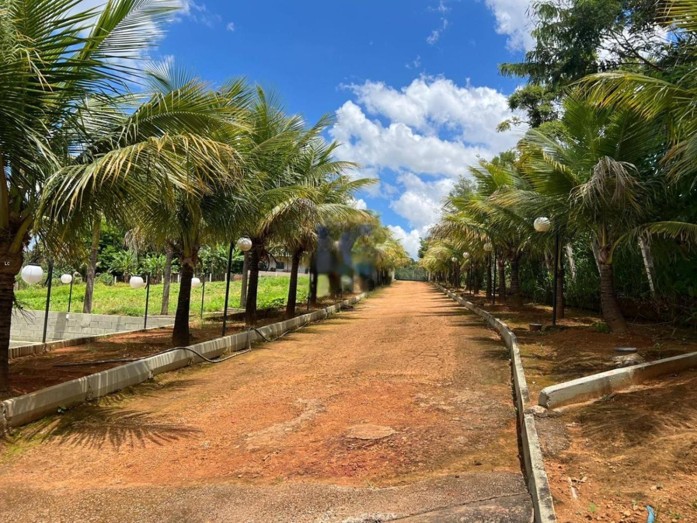 Refúgio Descanso com Pet Friendly 40 min de ÁGUAS CLARAS BRASÍLIA