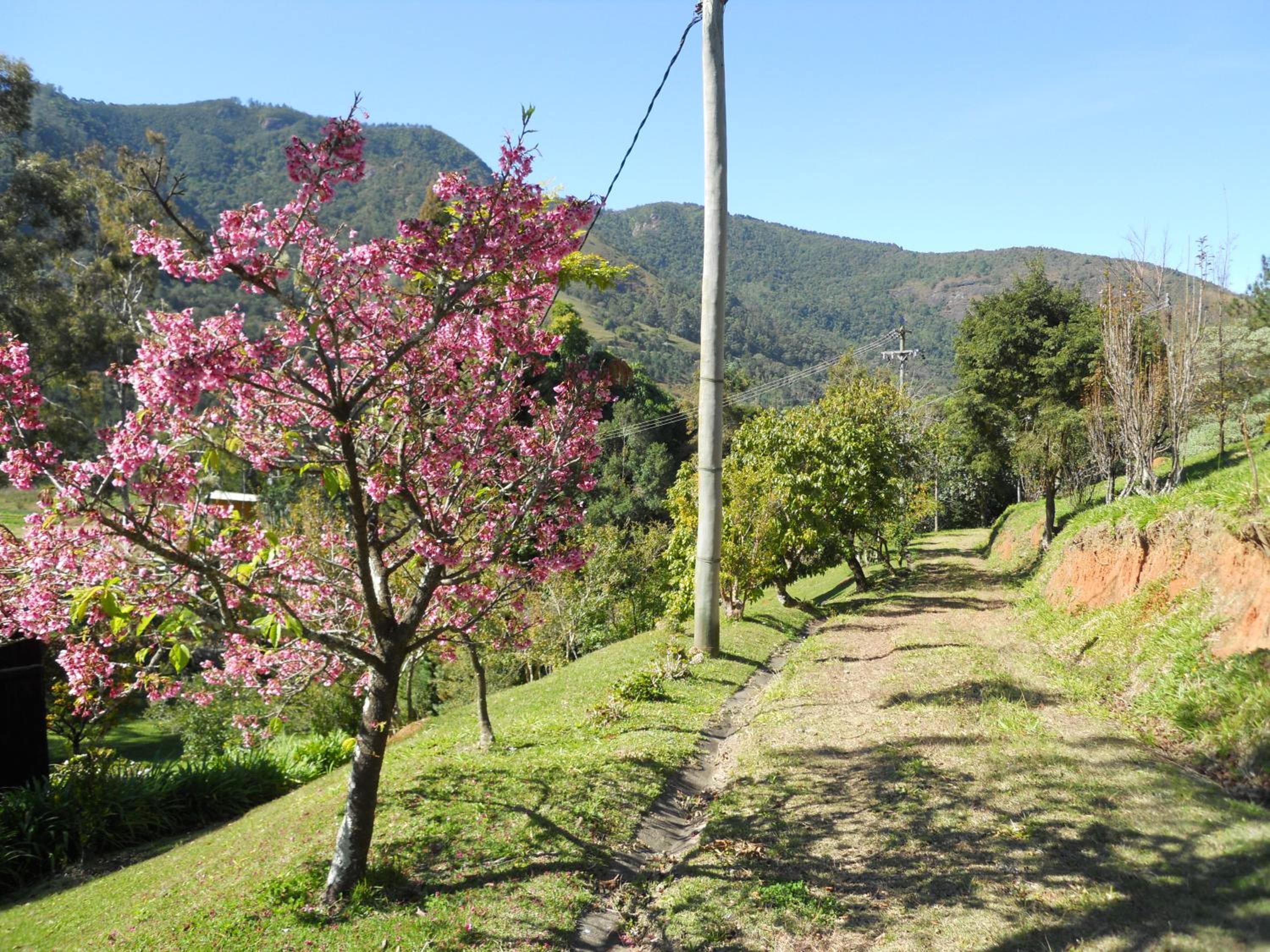 Sítio Paradiso