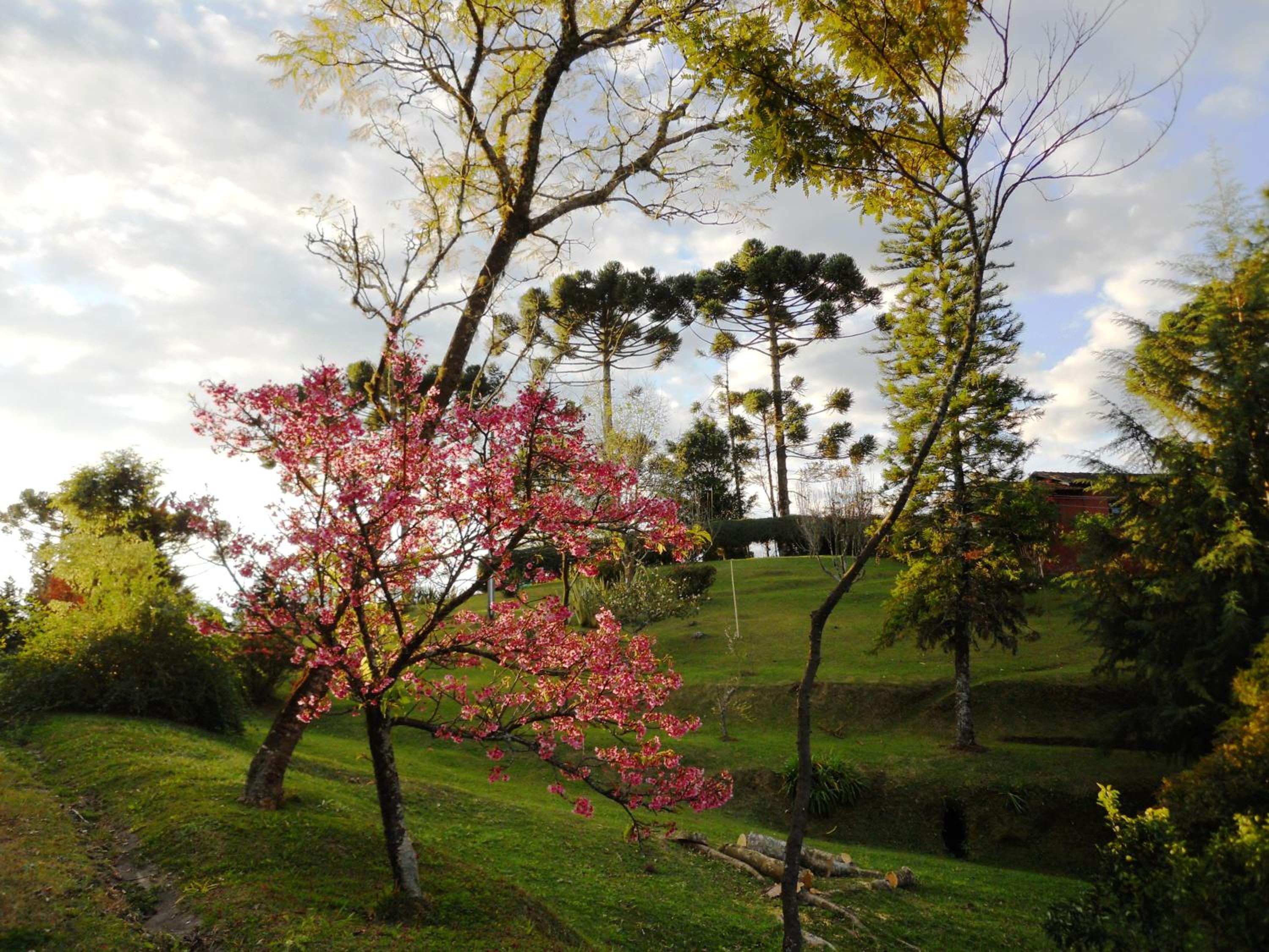 Sítio Paradiso