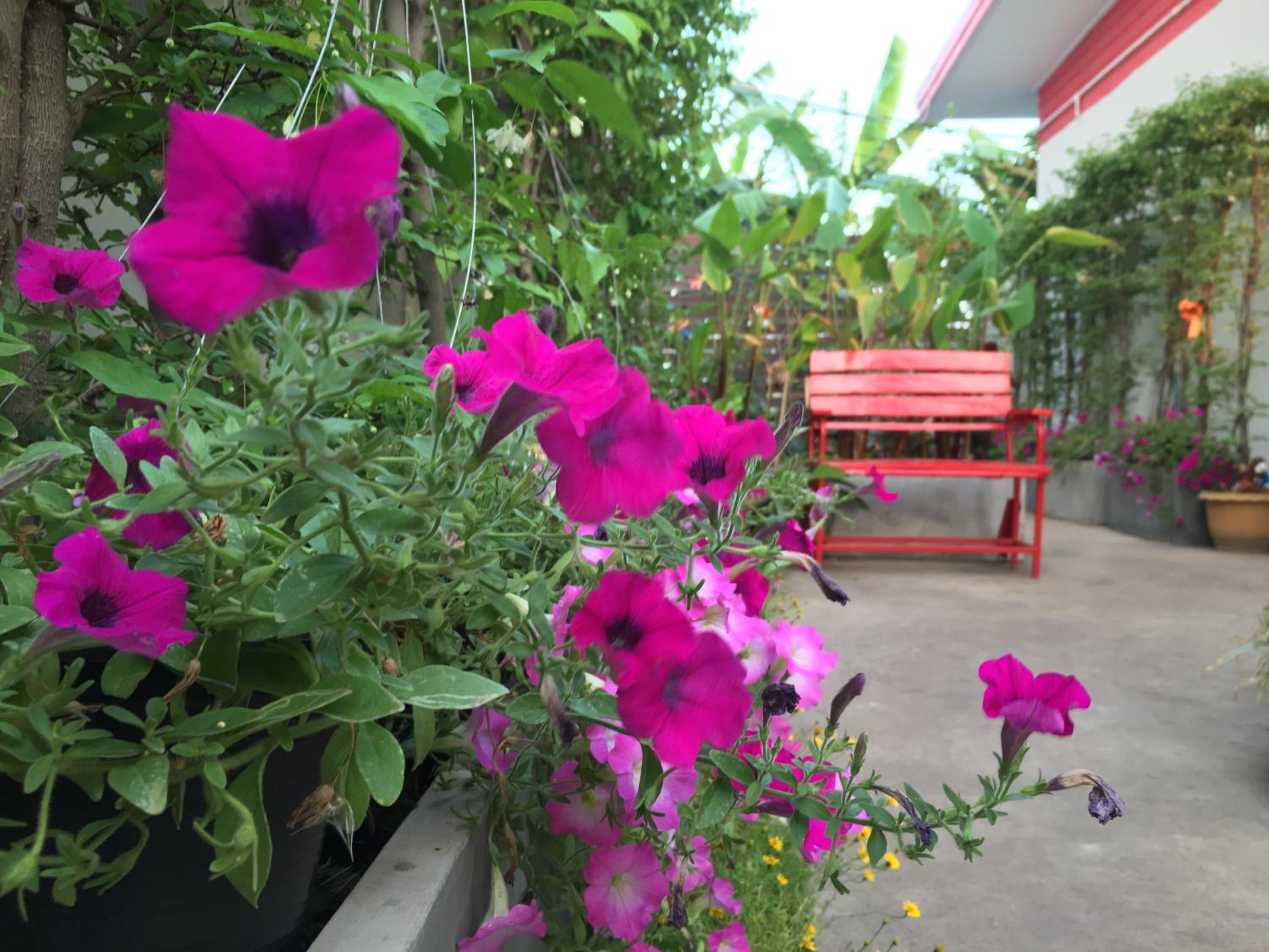 Honghub Sakon Hotel