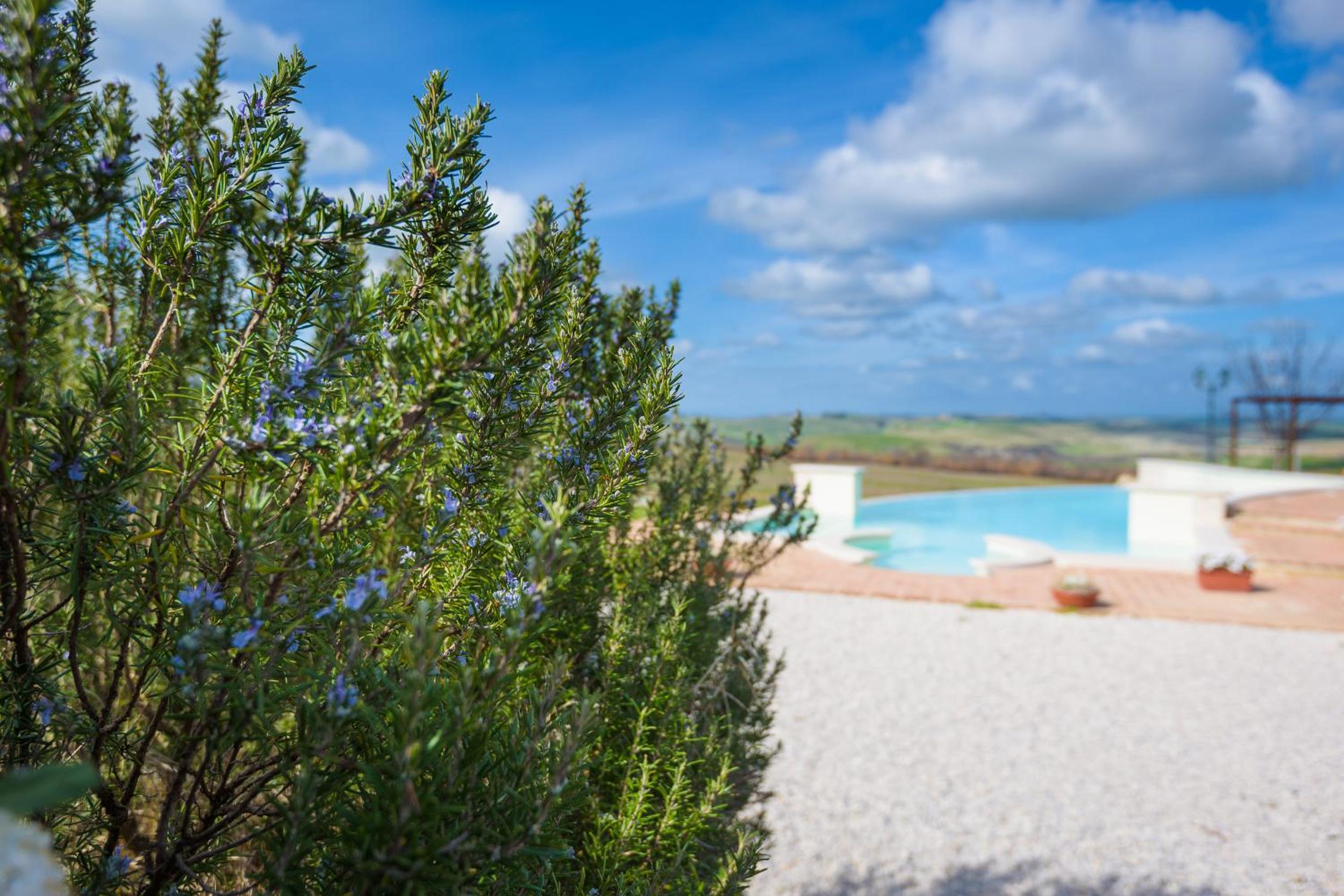 Agriturismo Il Macchione