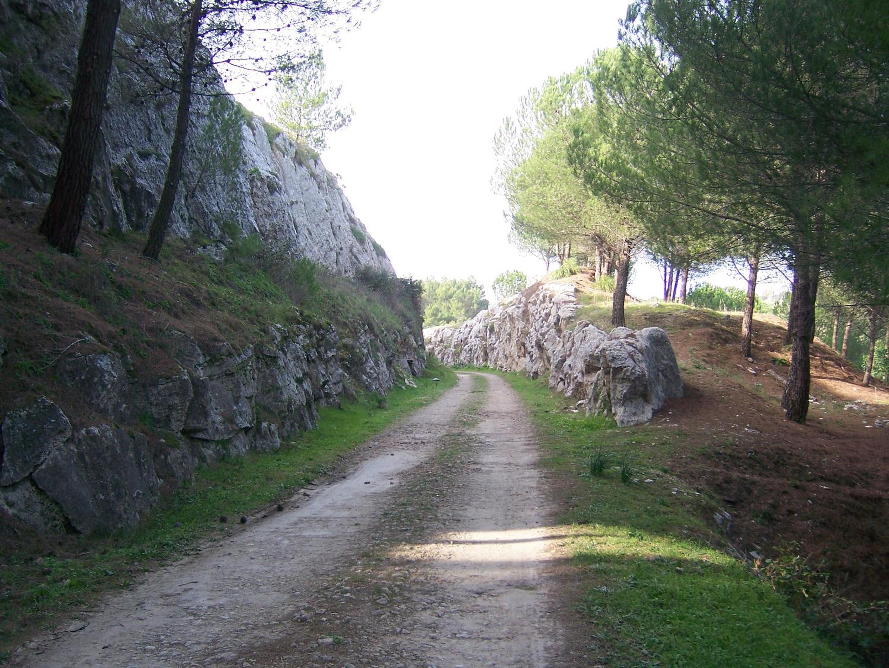 Il triclinio B&B, photo 4