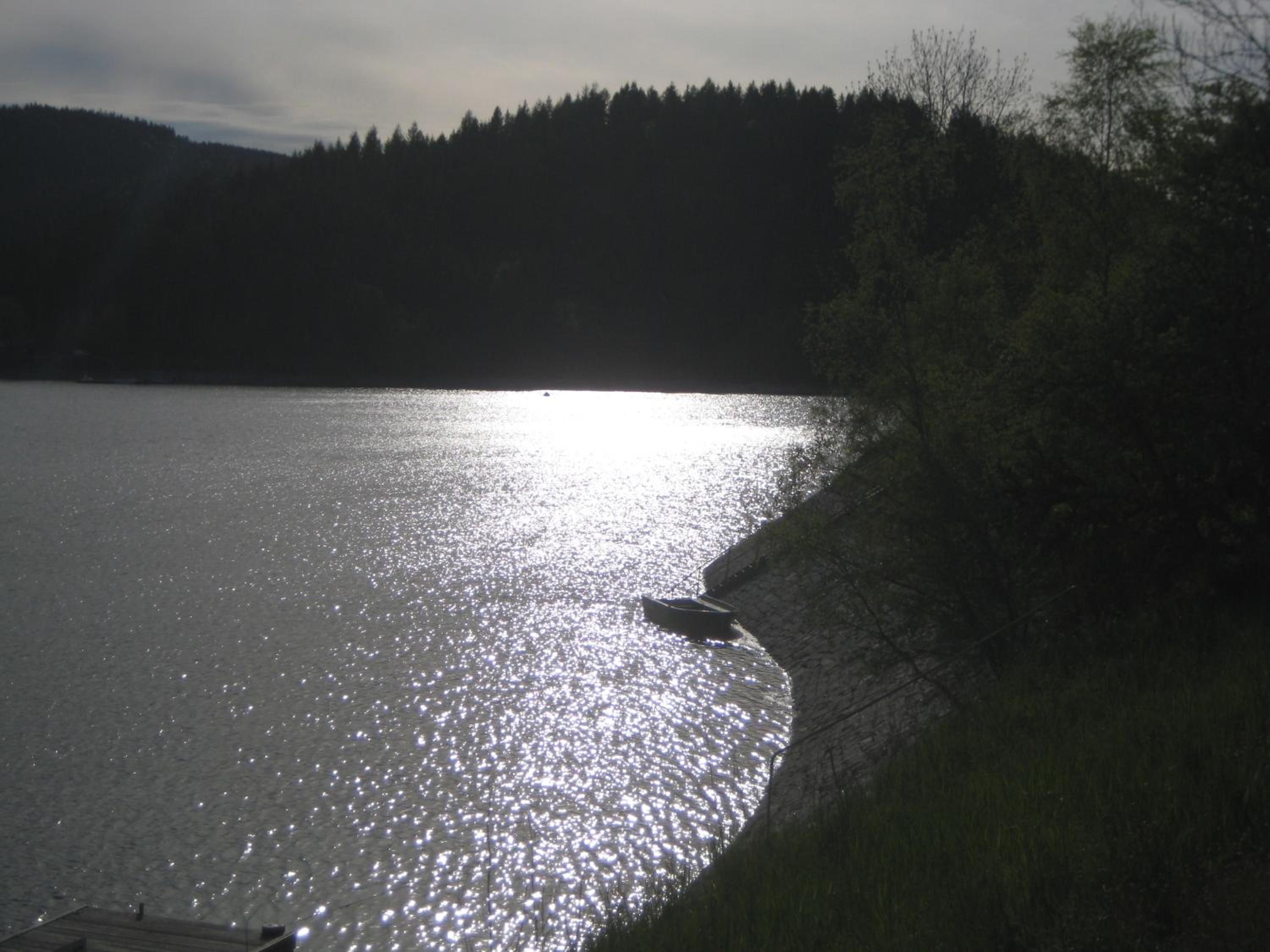 Apartment Eisenhauer in Schluchsee view 5