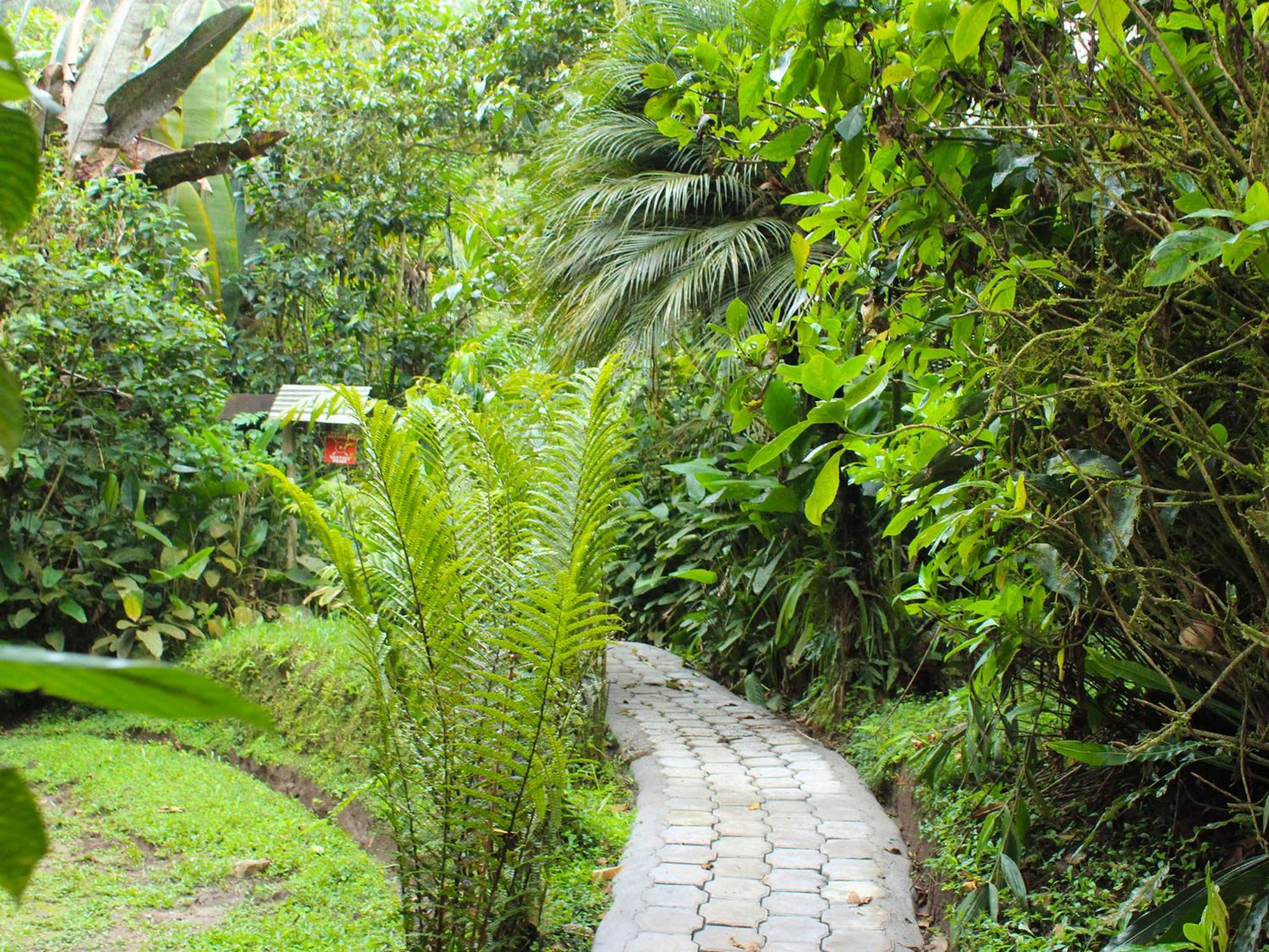 Photo 33