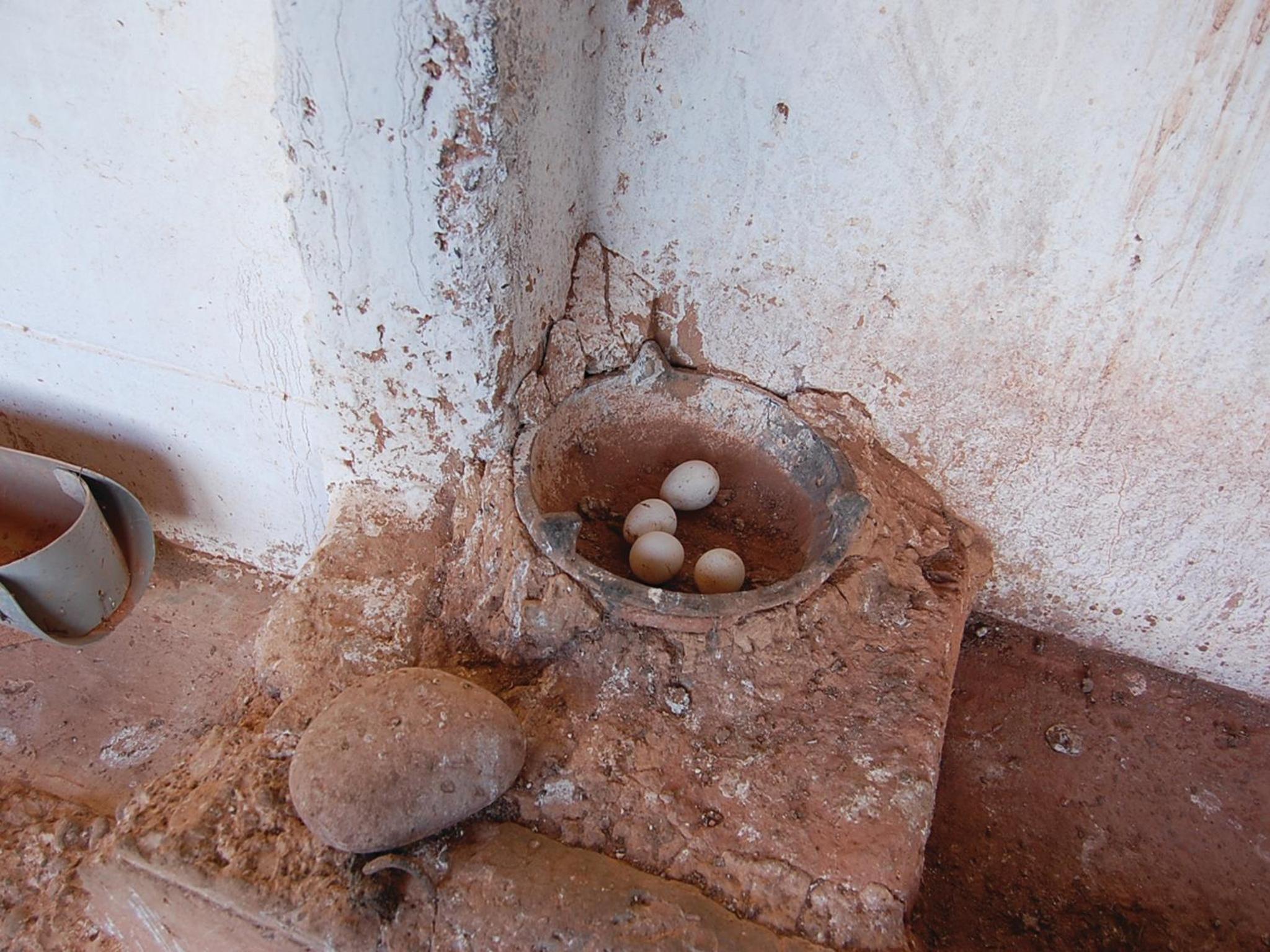 Gite Souss
