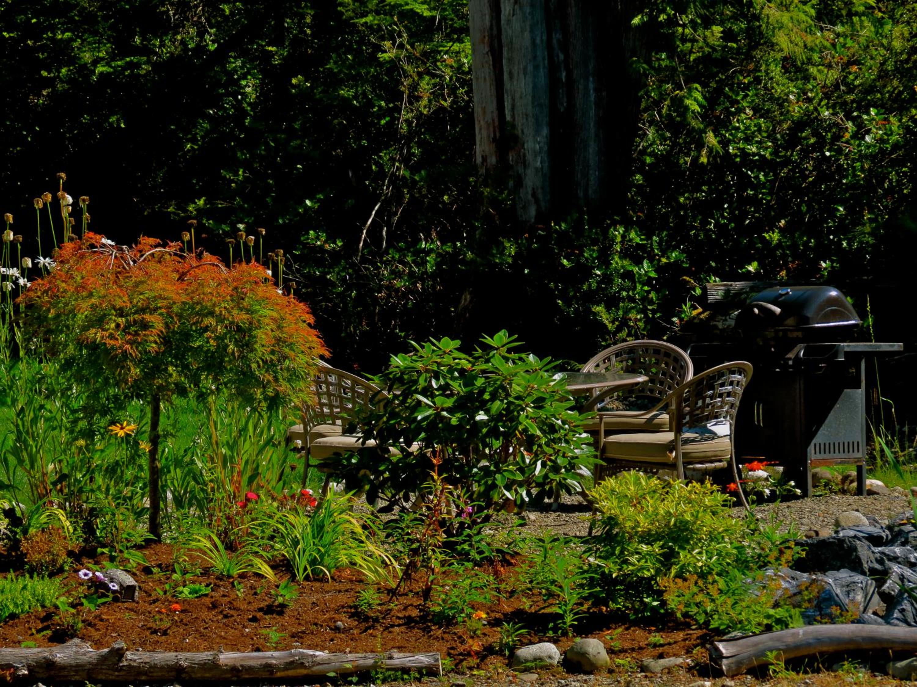 Tofino Vacations - Cobble Wood and Bird Sanctuary Guest Houses - Property Image 66