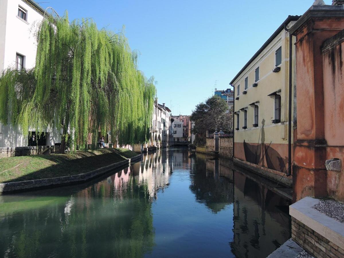 Coccolo a 10 minuti da Padova centro - Giusi