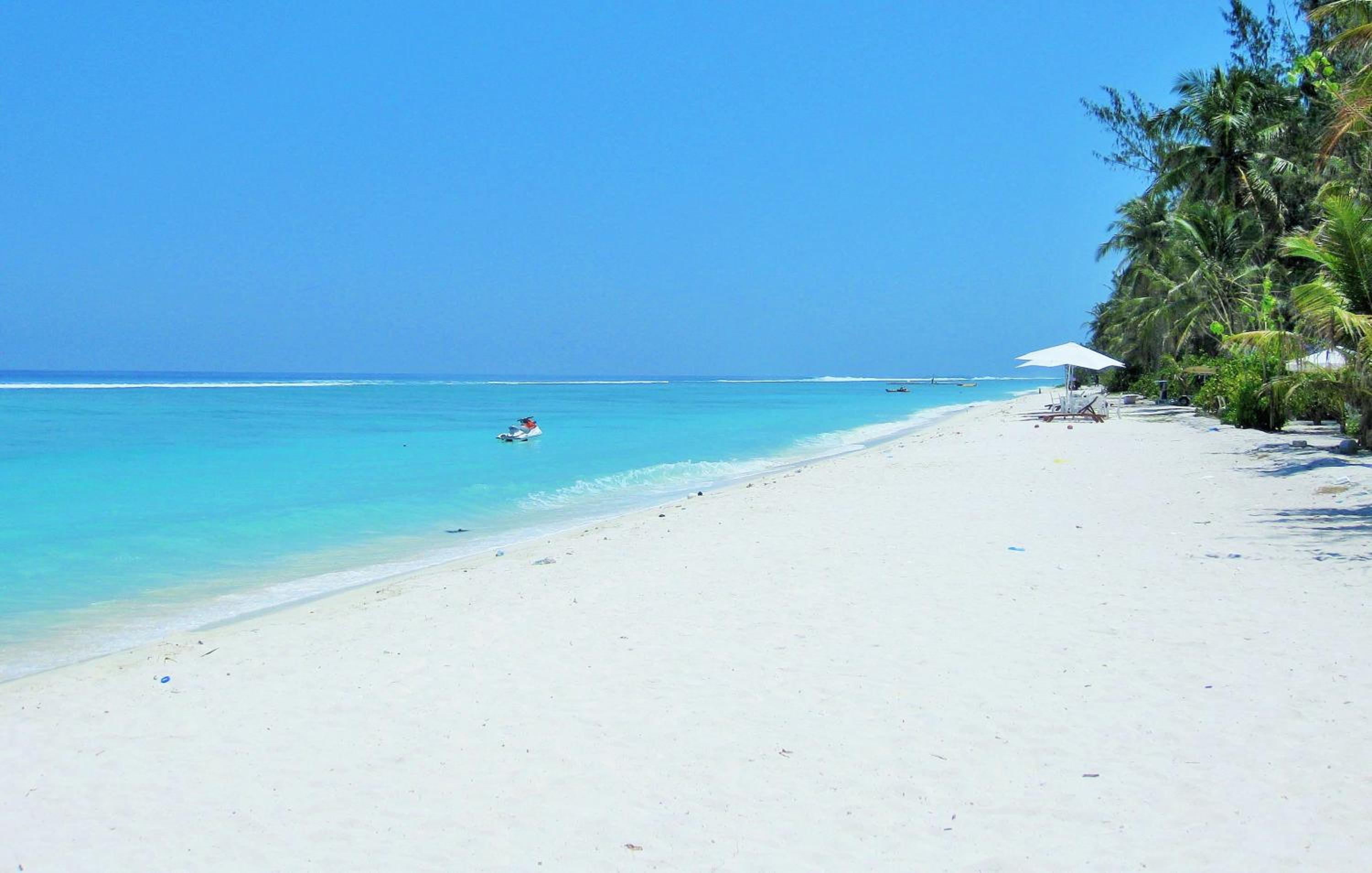 Planktons Beach