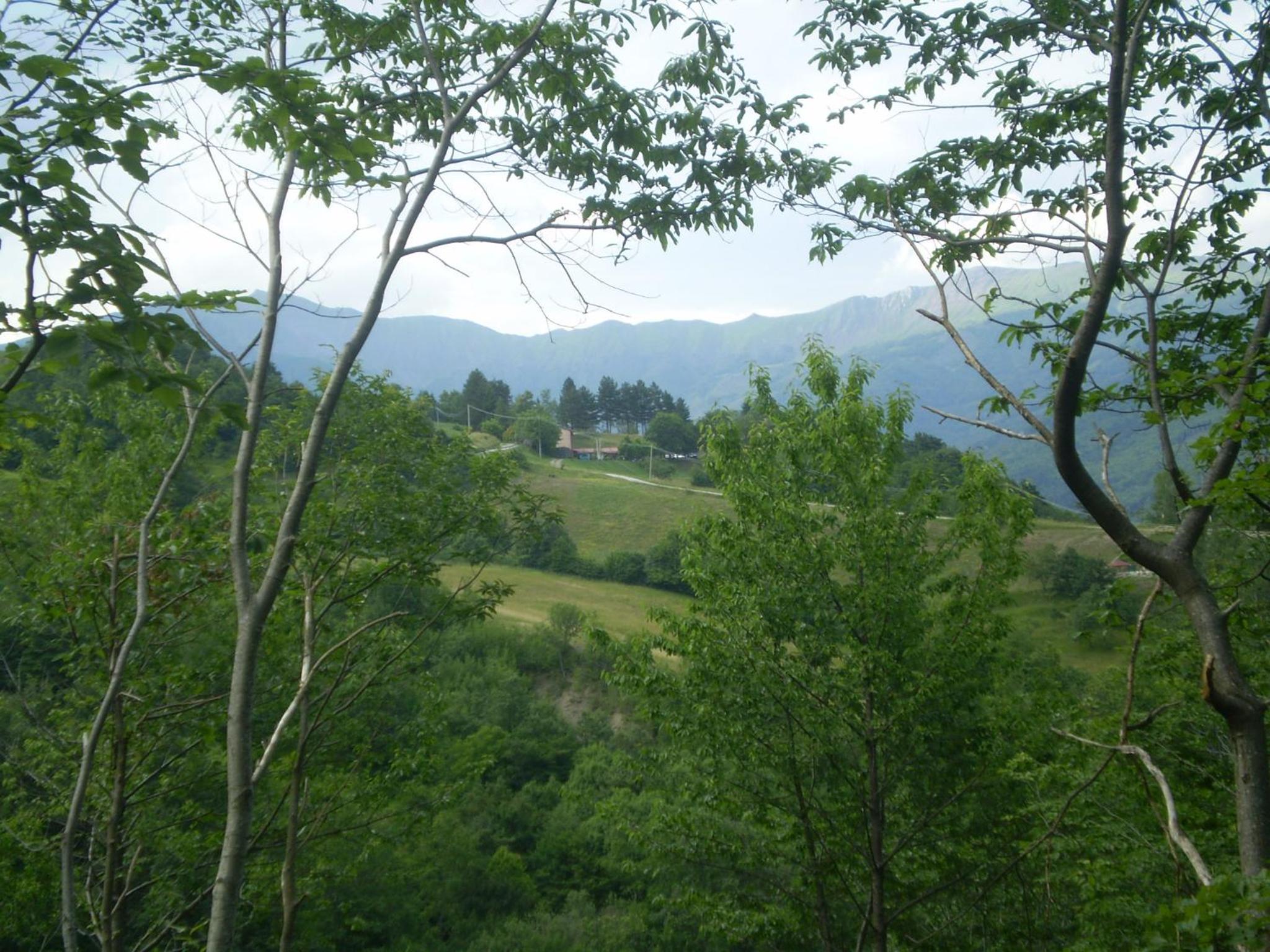 Photo 37