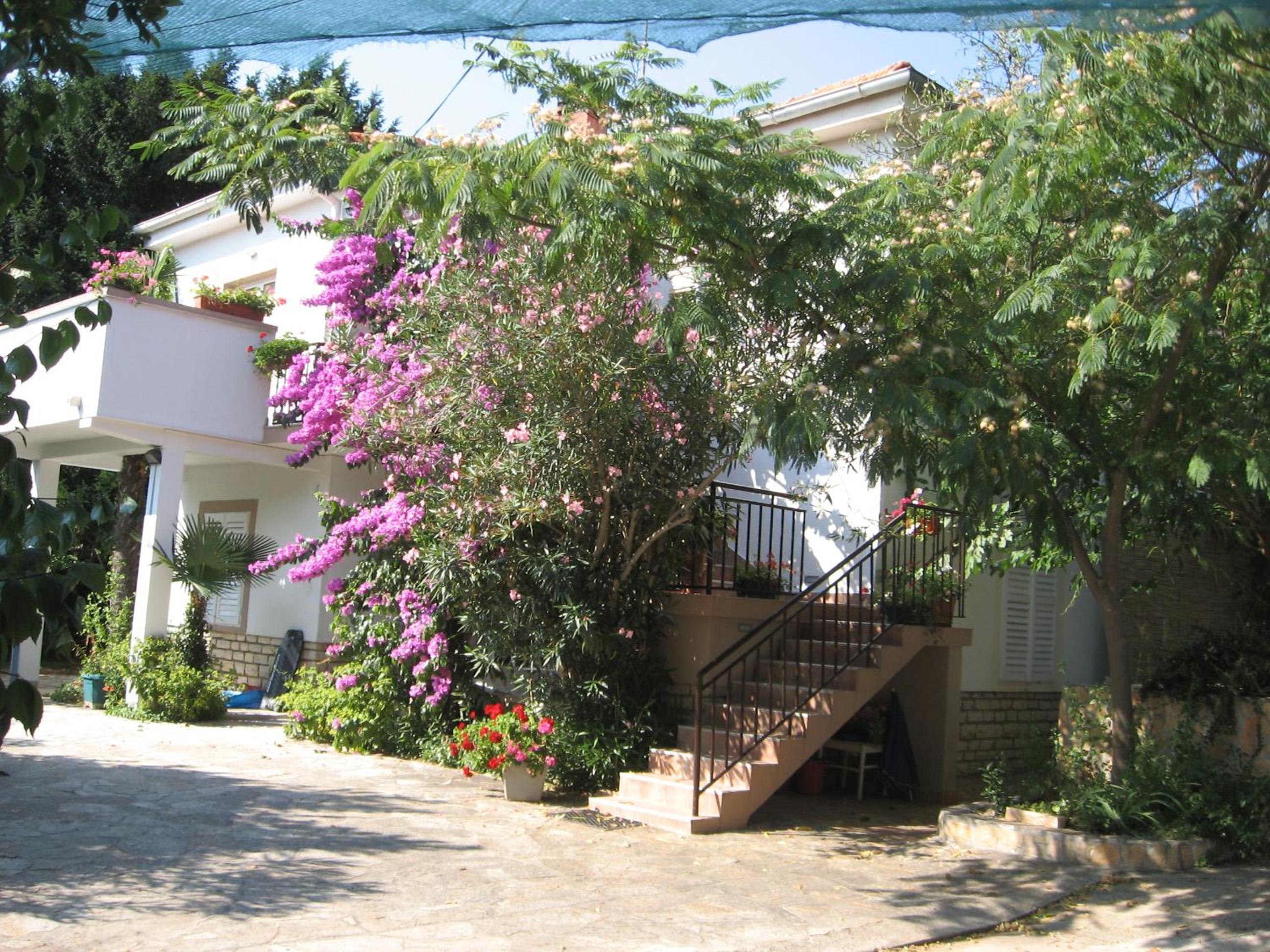 Apartments Majica view 3
