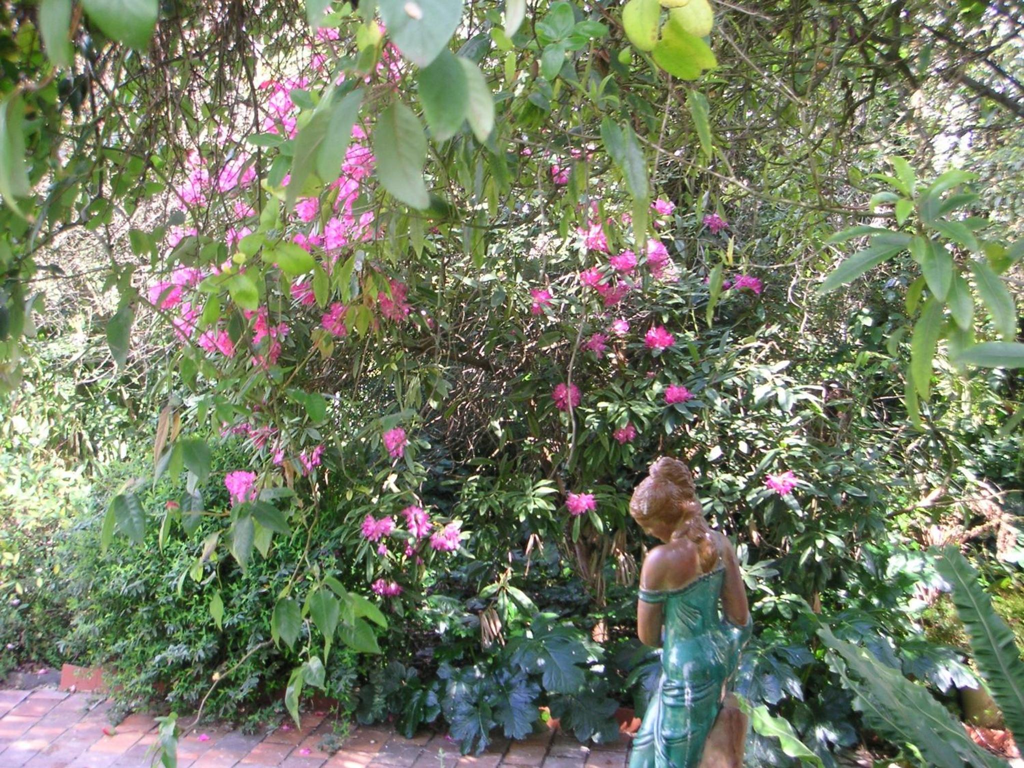 Photo 44