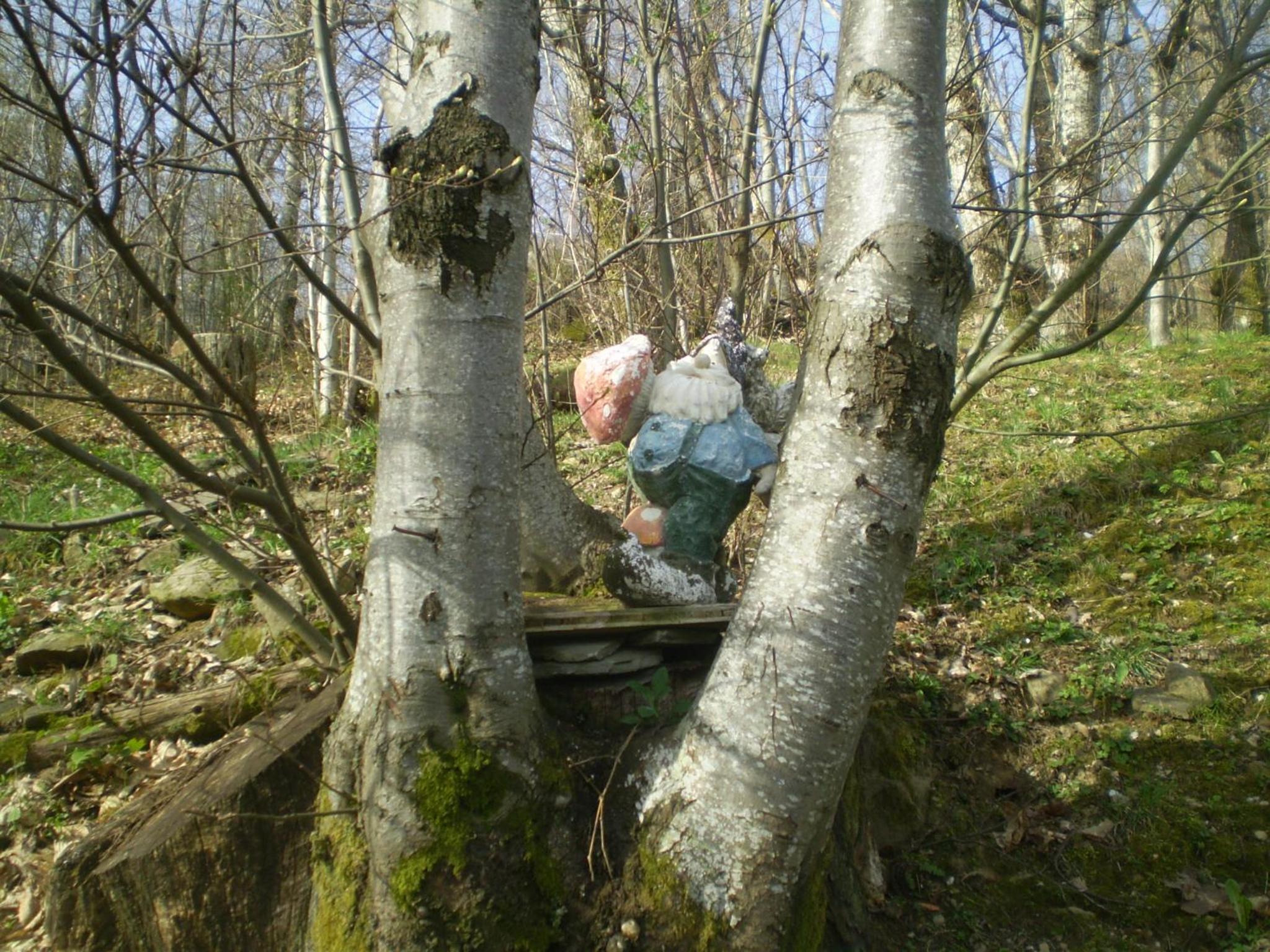 Photo 40