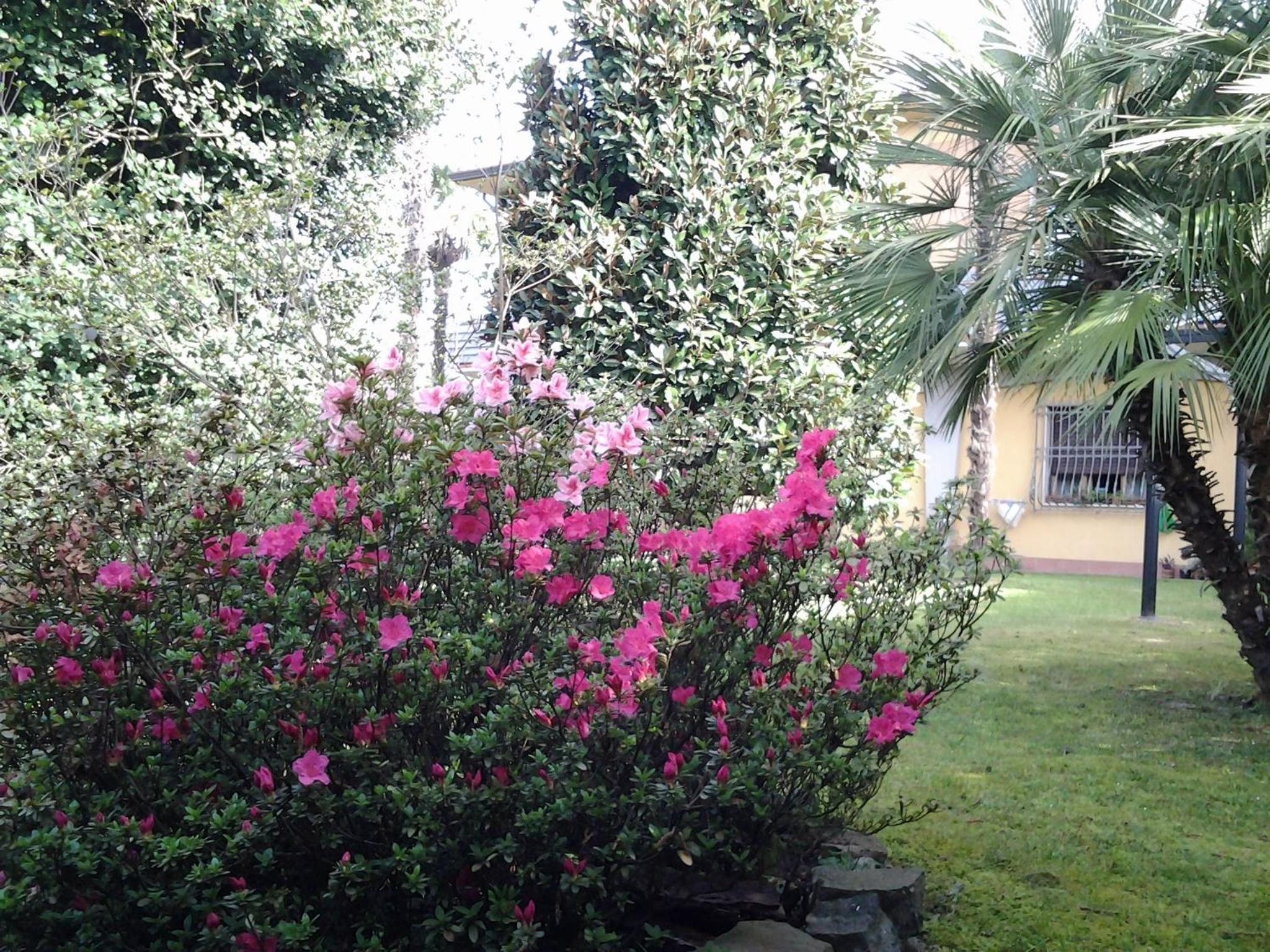 Villa Celeste
