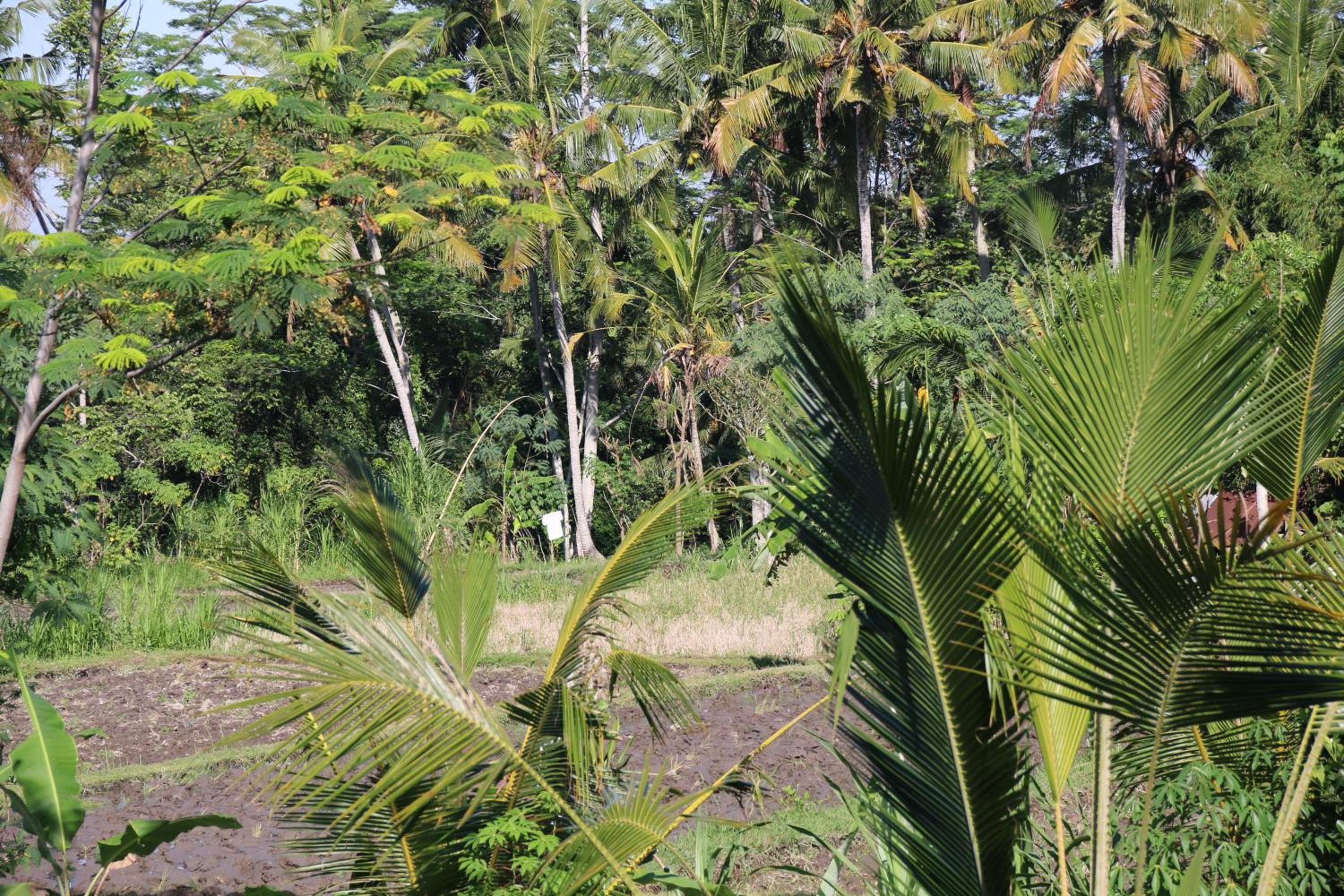 Pesantian Villa and Warung