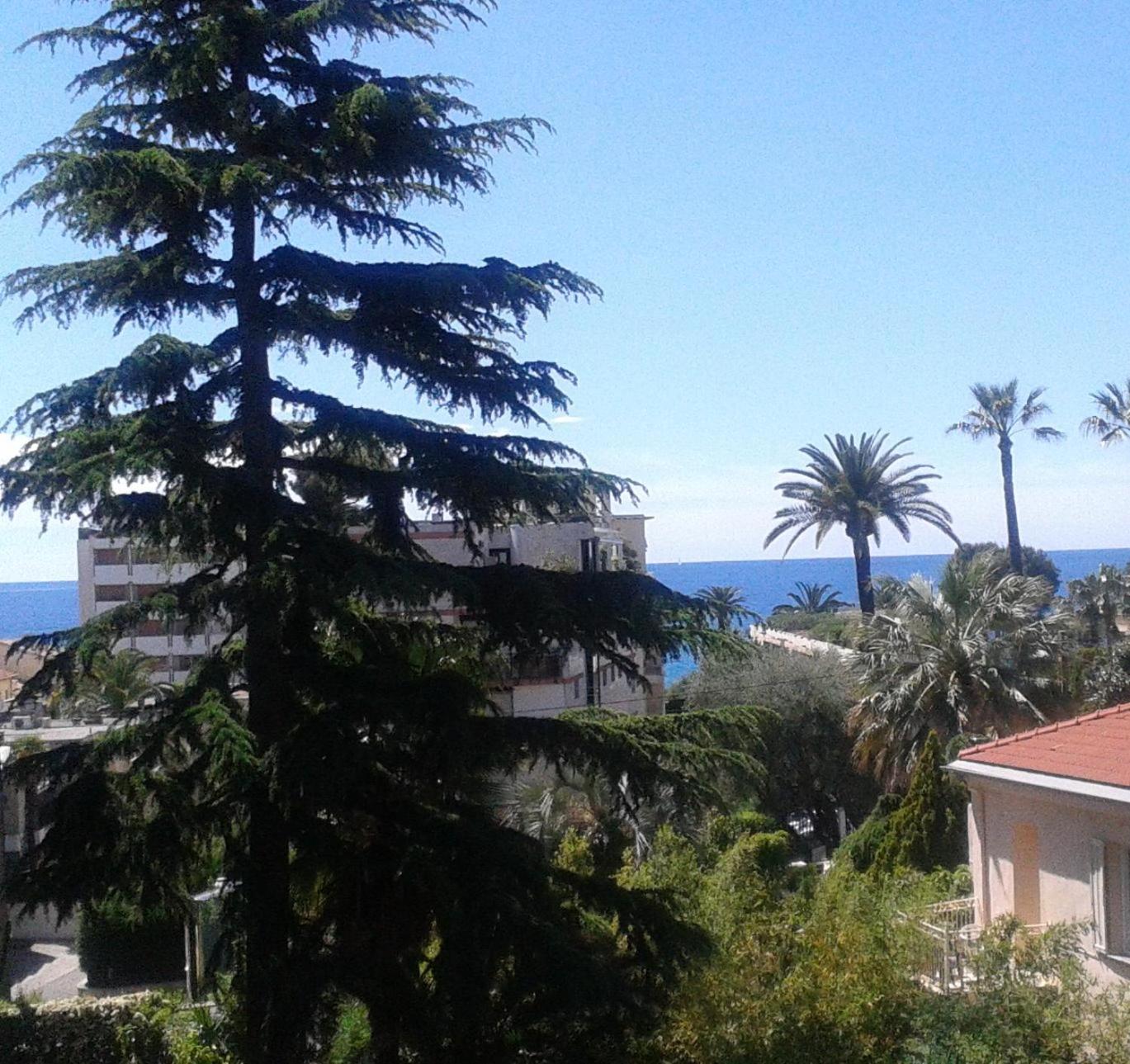 Holiday or Congress, Centre - Beach