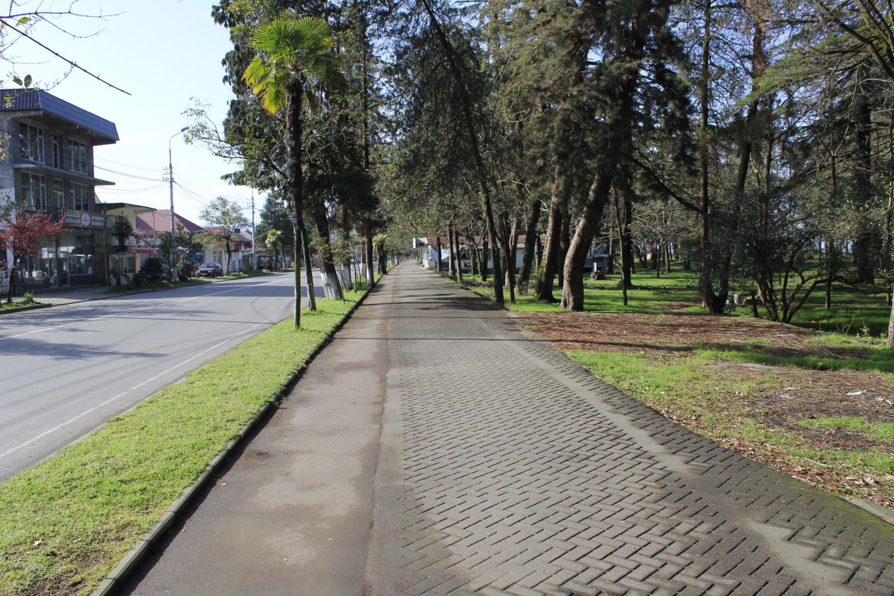 Zuras Apartment Kobuleti