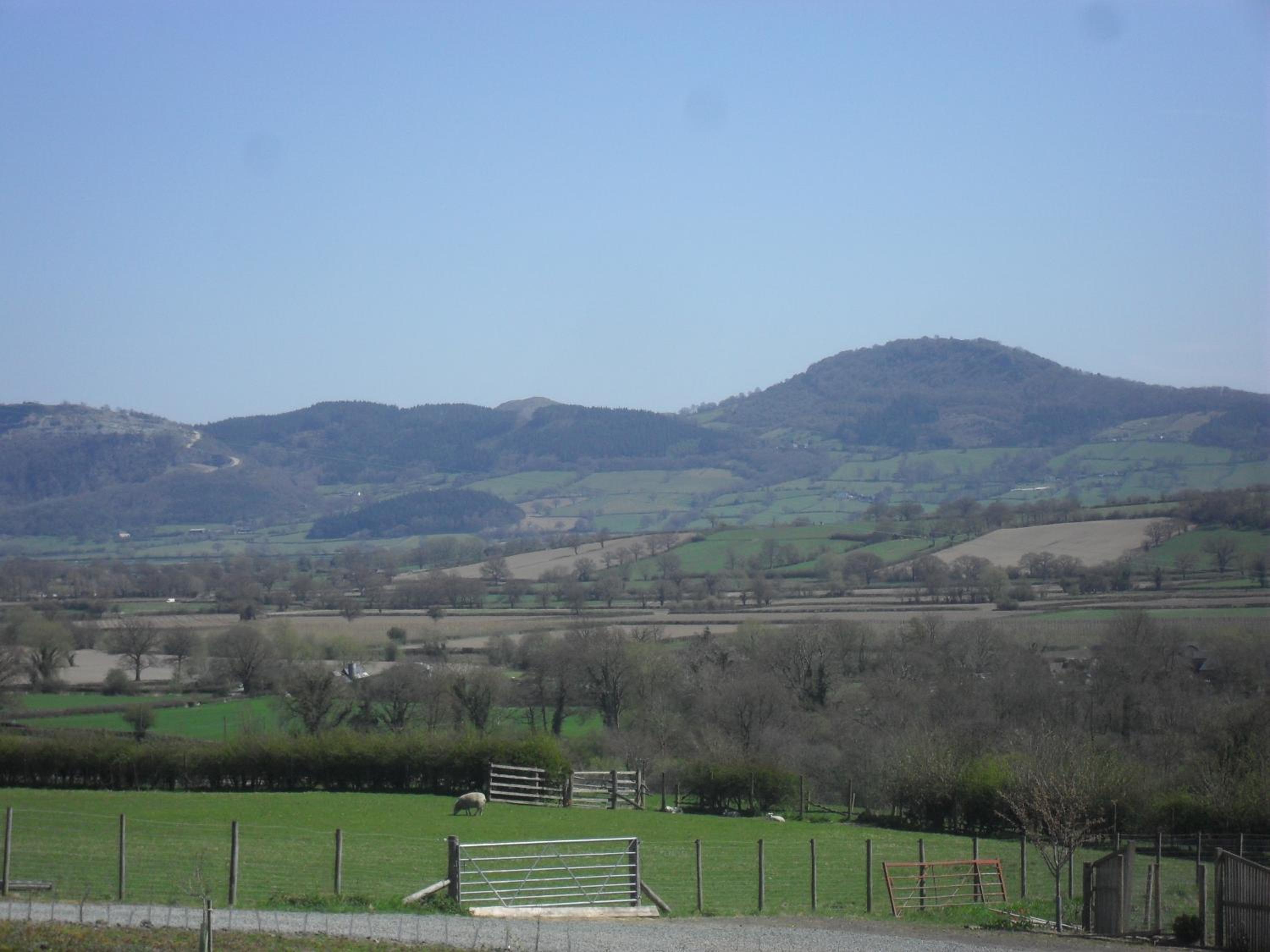 Photo 12