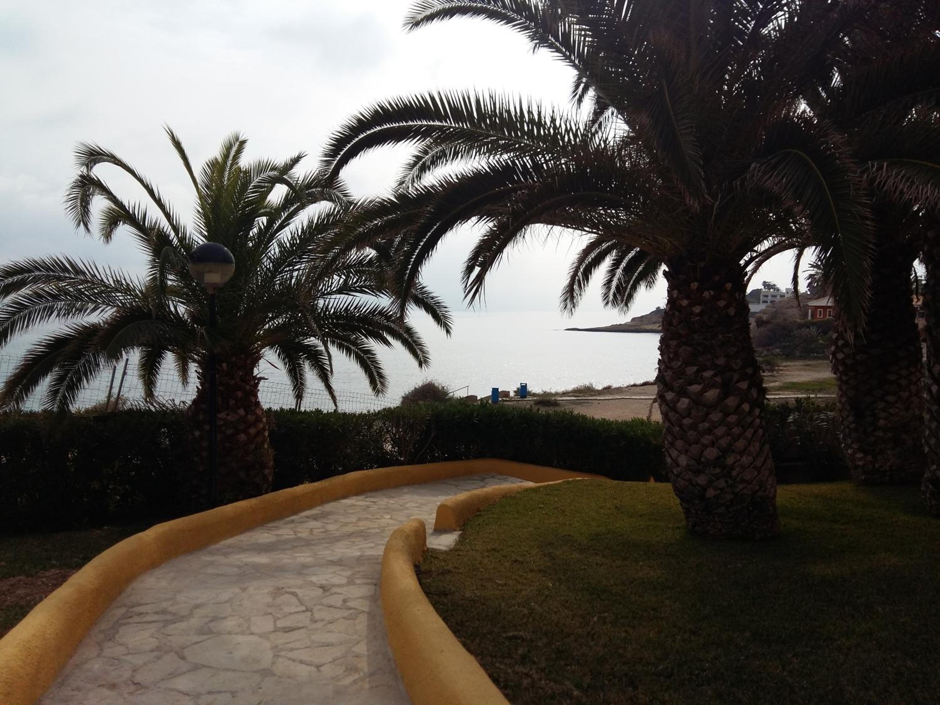 Photo 41