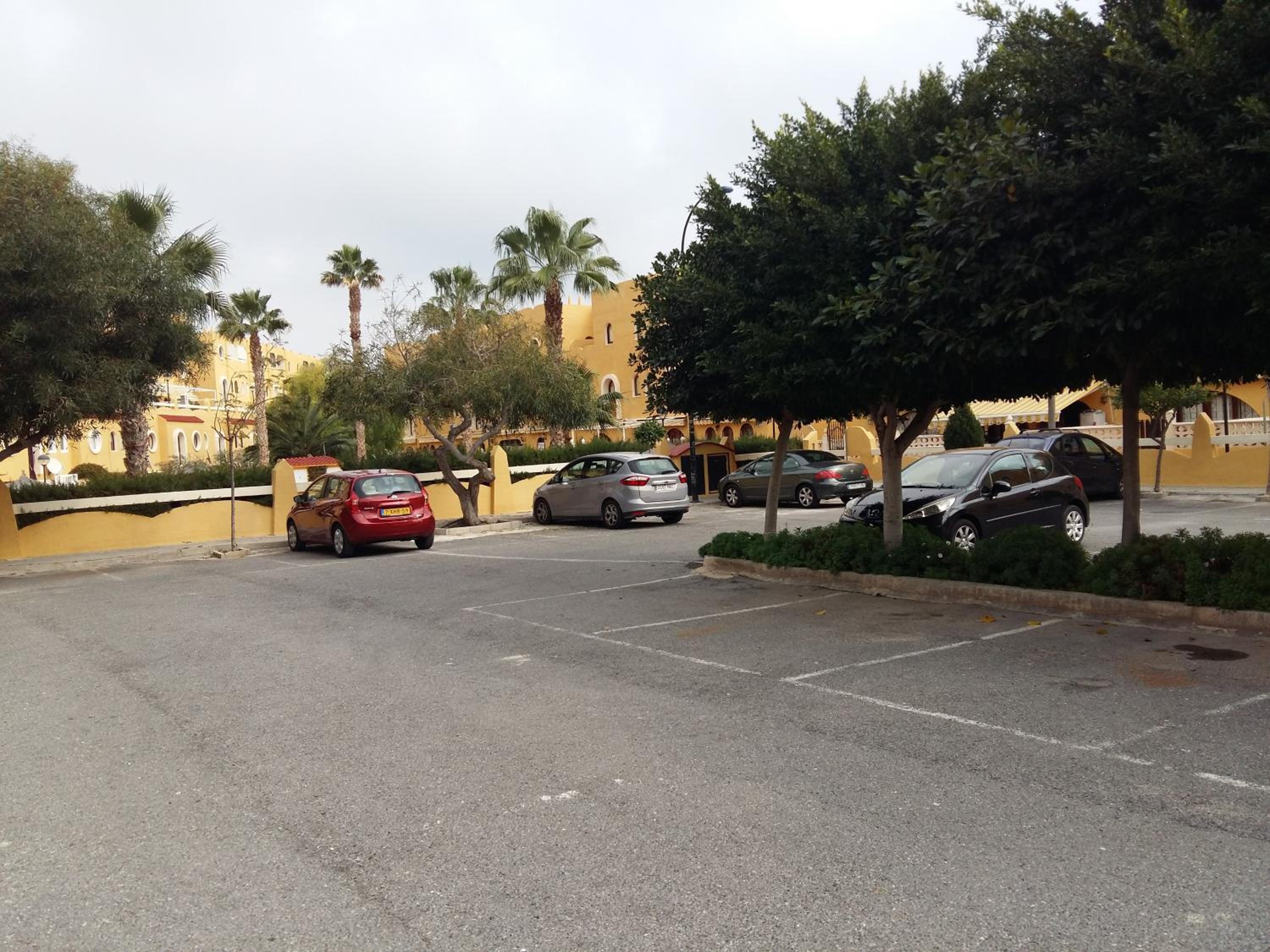 Photo 42