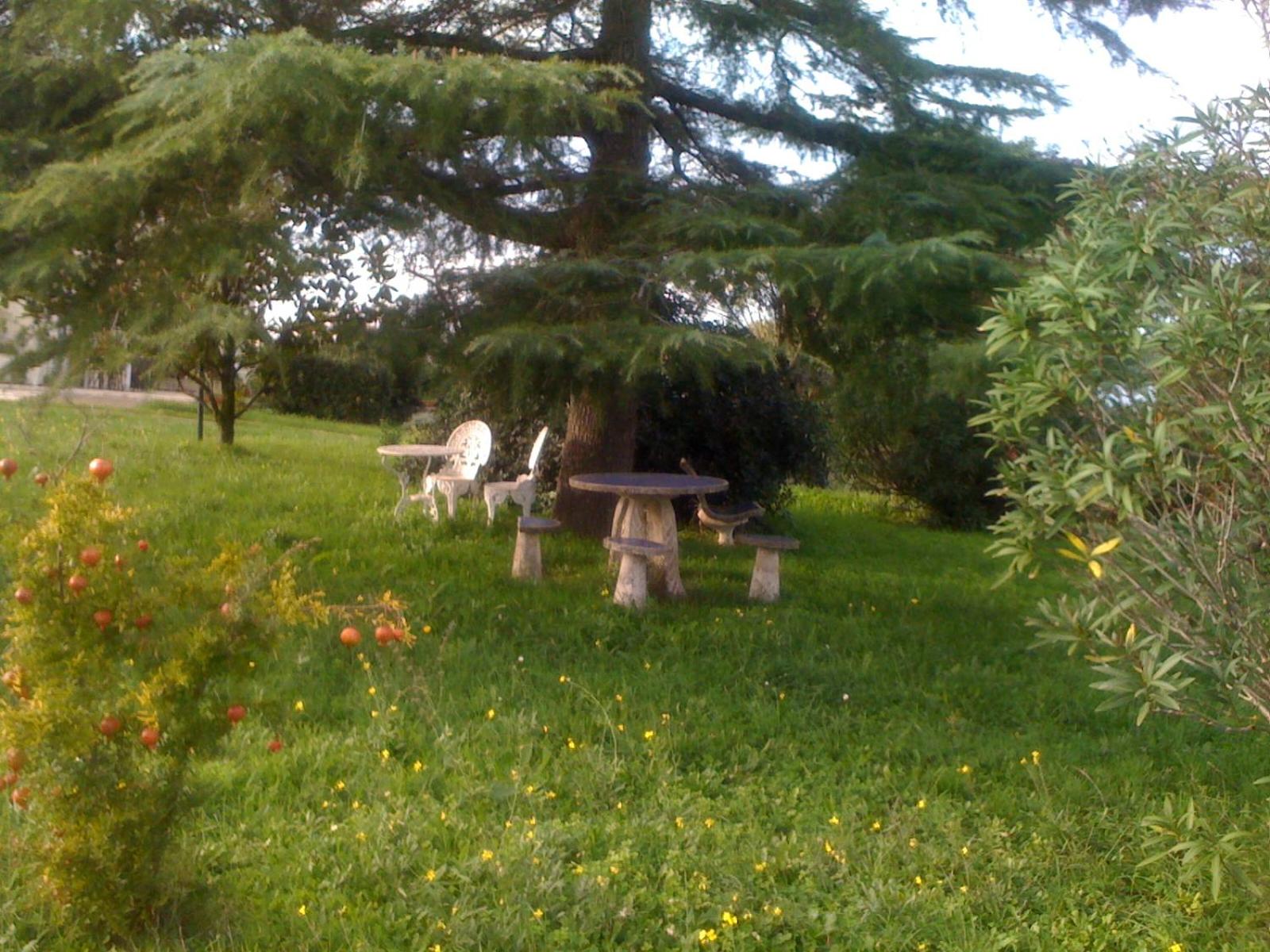 Photo 38