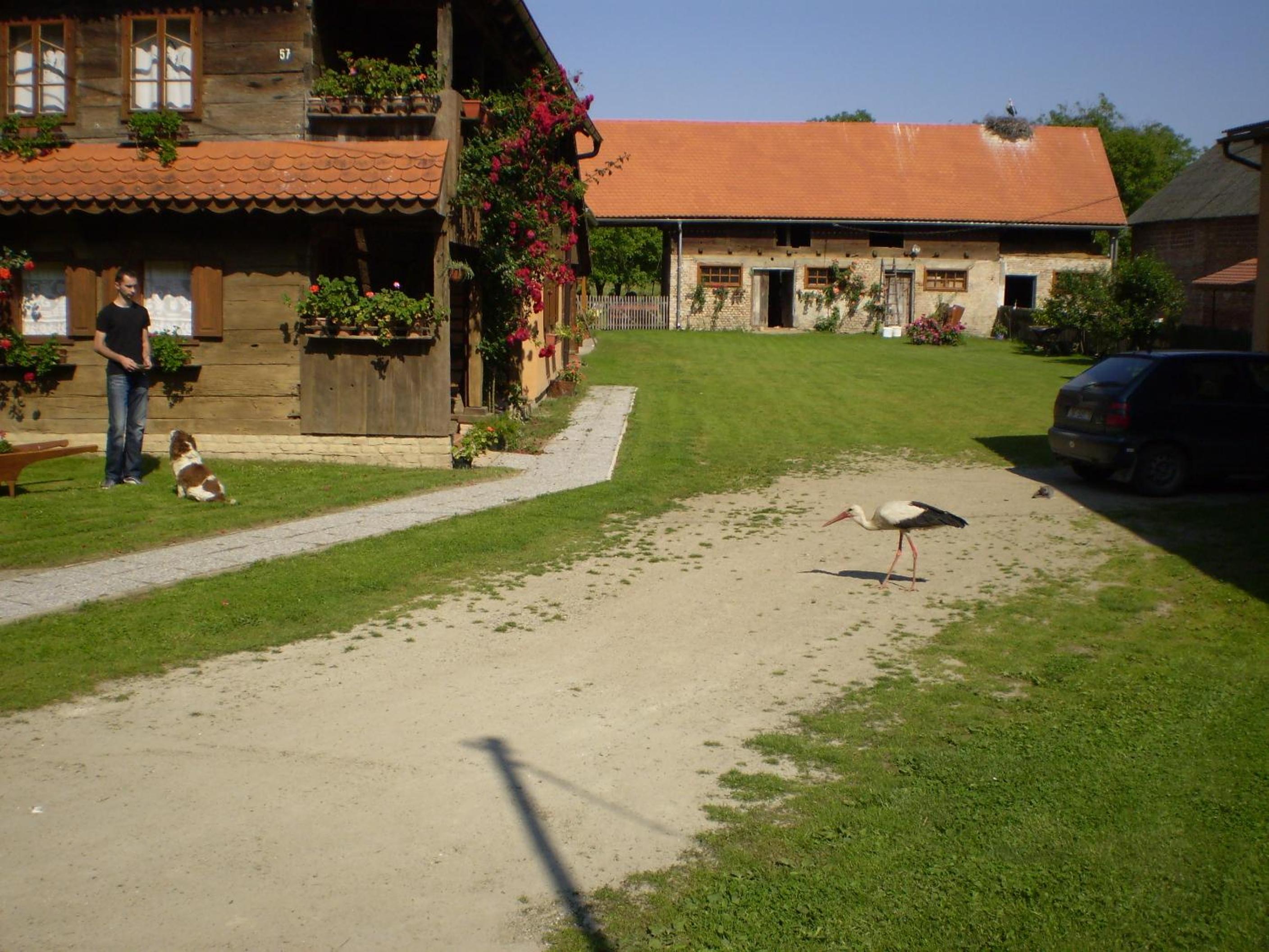 Apartments Iža Na Trem view 5