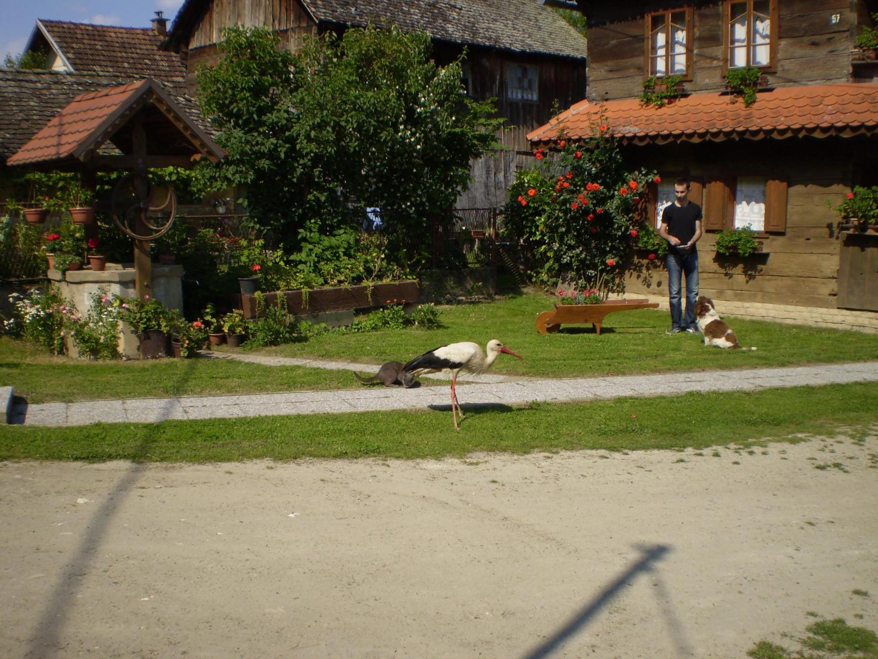 Photo 19