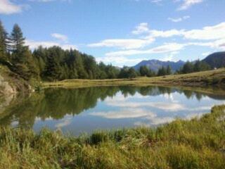 Photo 48