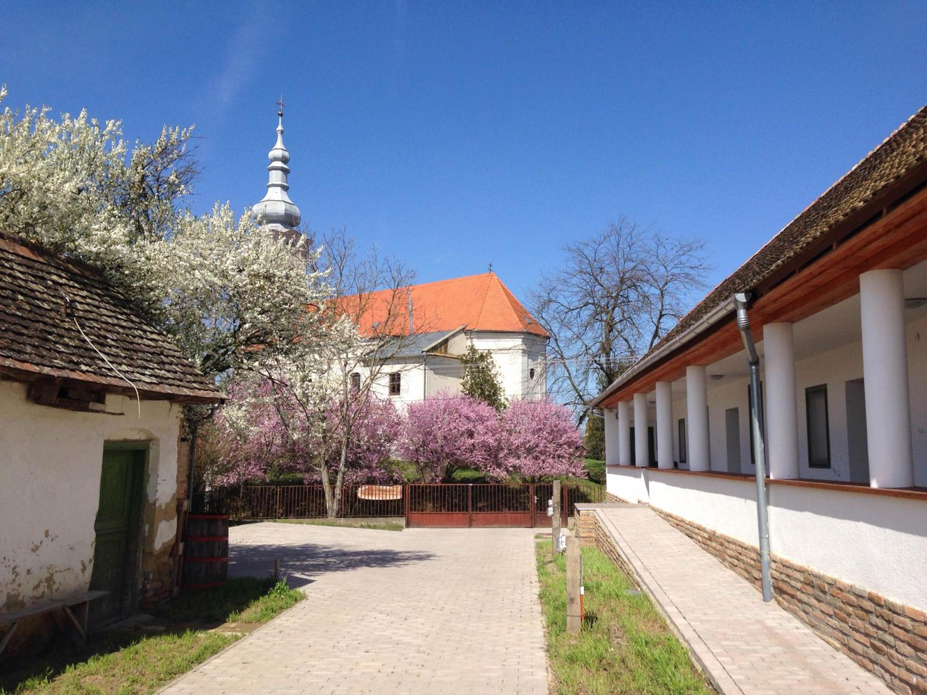 Photo 18
