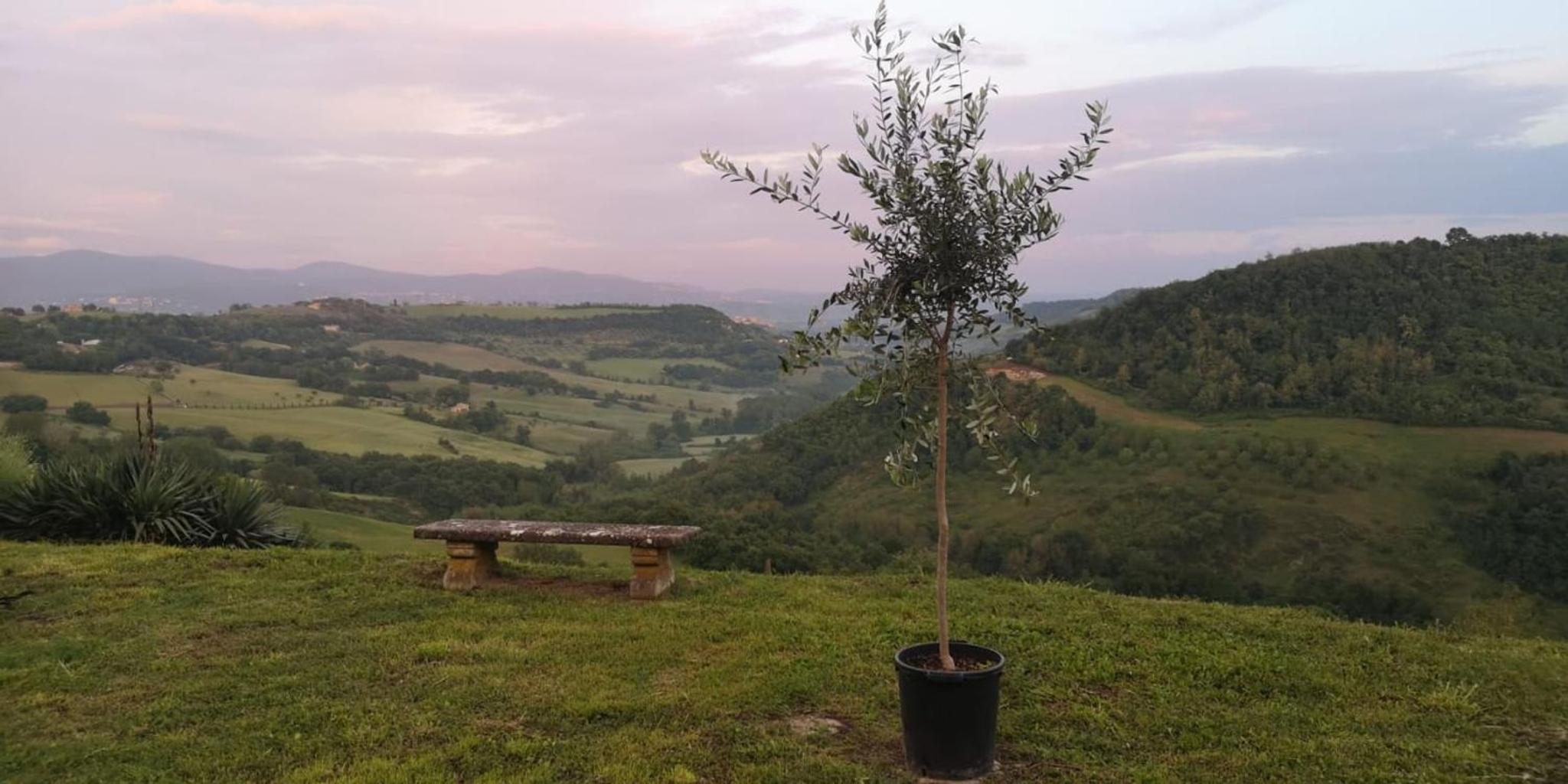 Perfect stunning views everywhere from house pool terrace garden