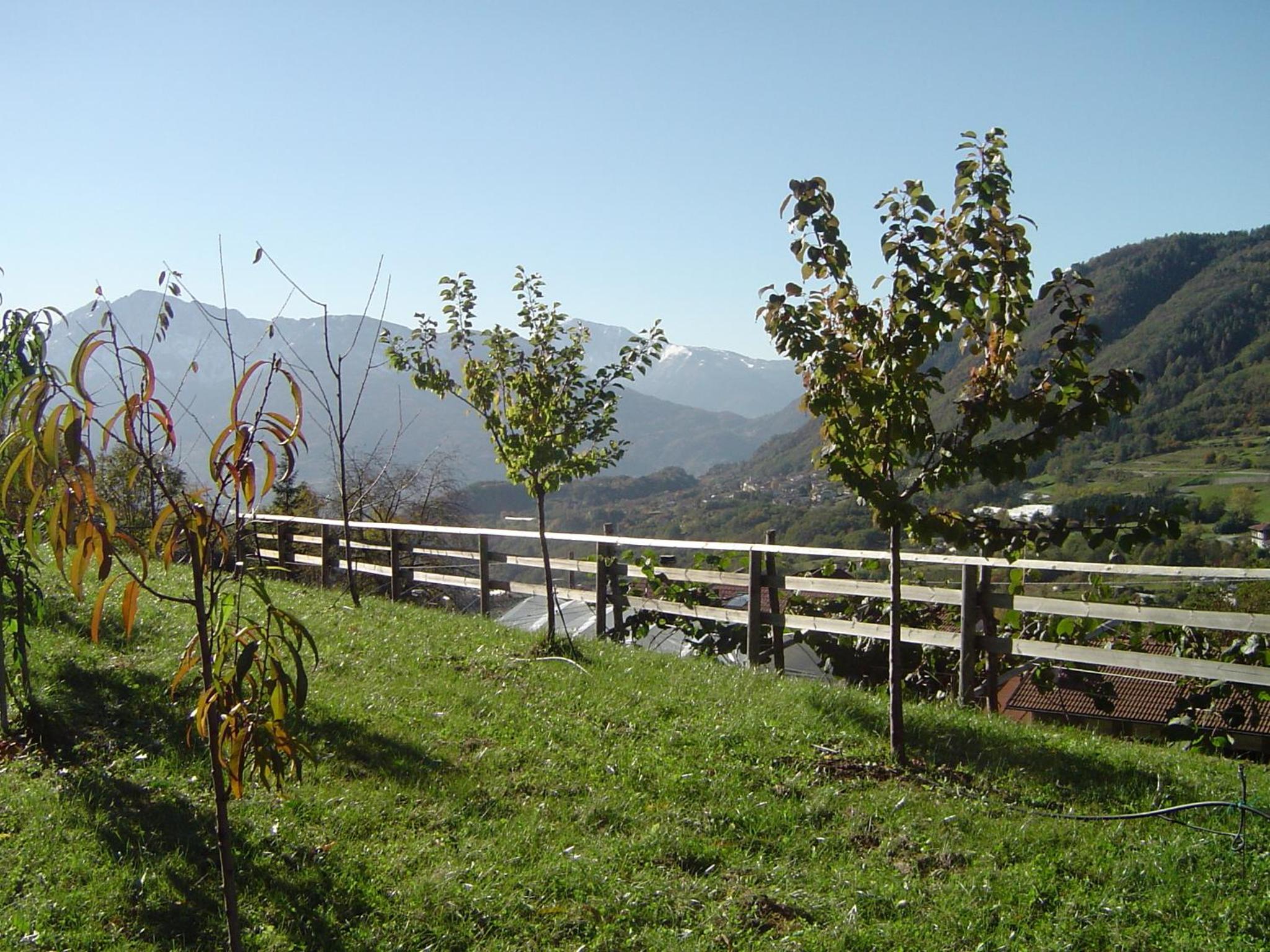 Agritur Maso Gosserhof