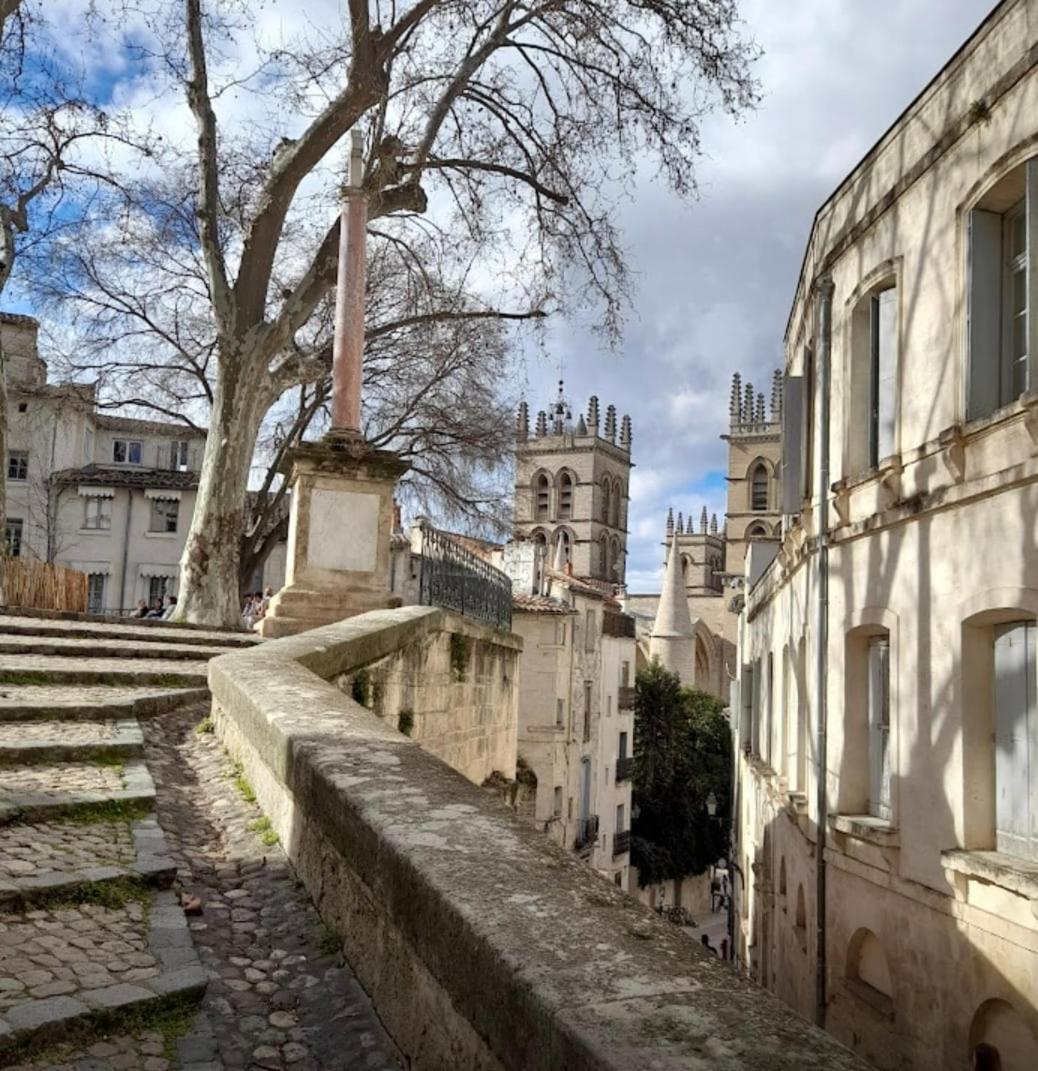 Appartement design, wifi, centre historique, balcon