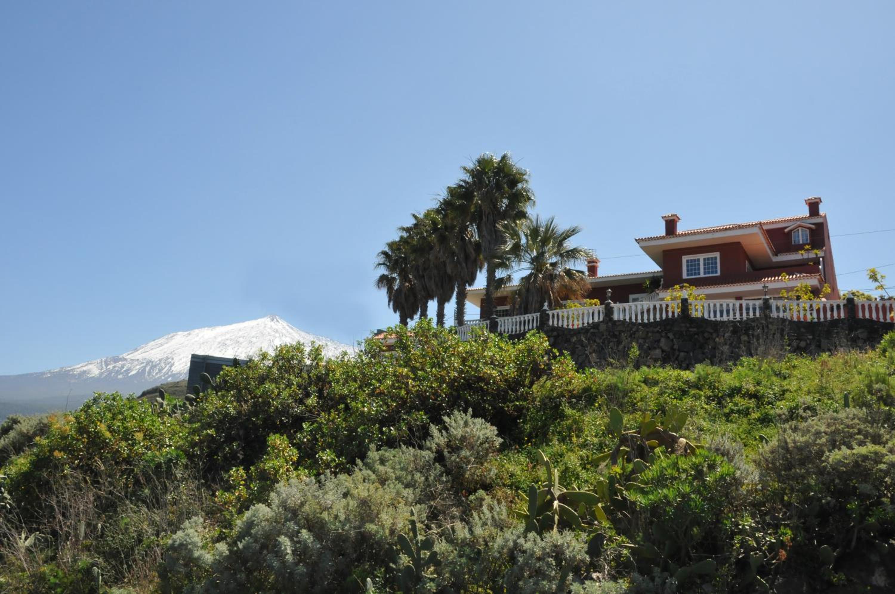 Photo 44