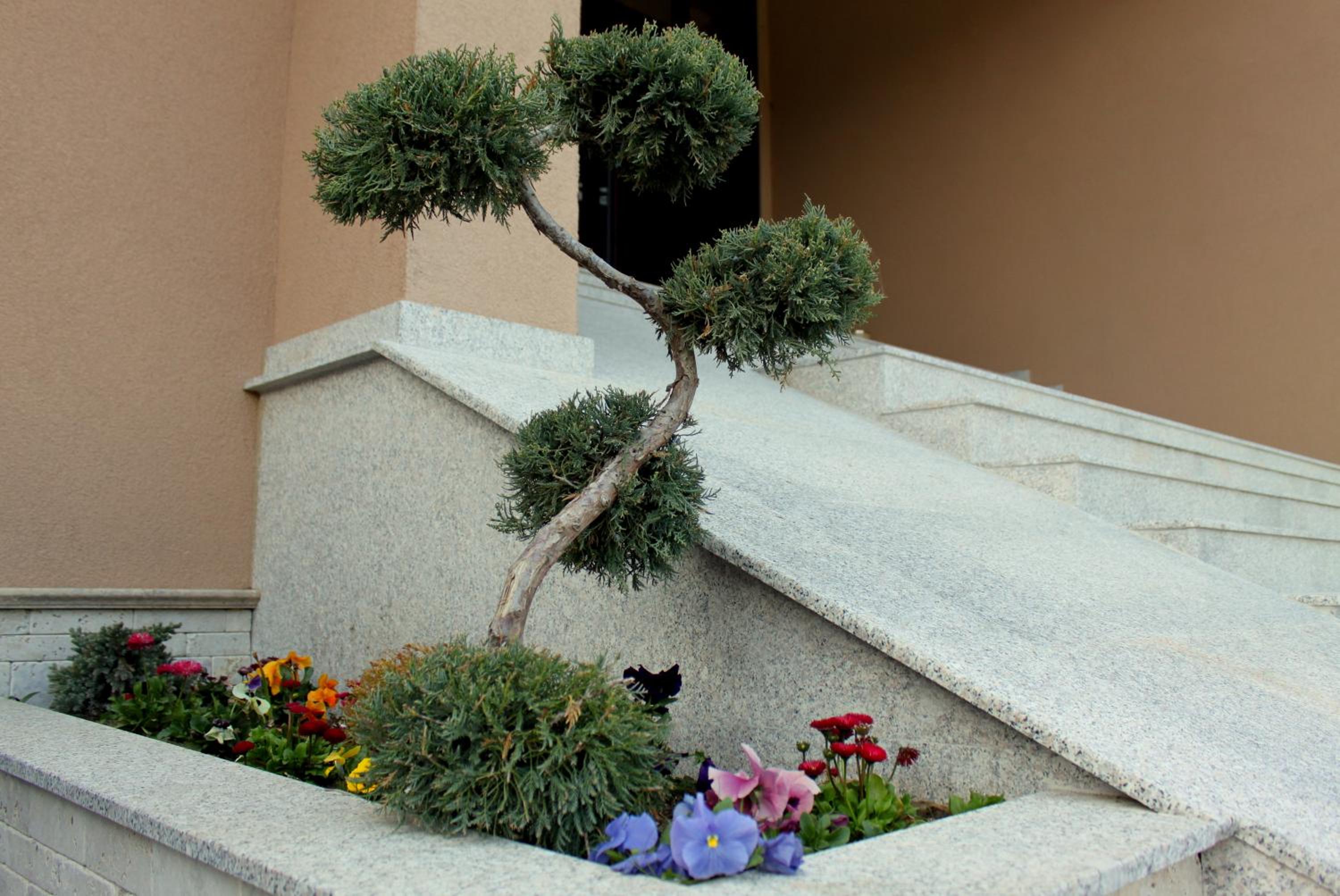 Park Hotel and SPA Vella Hills