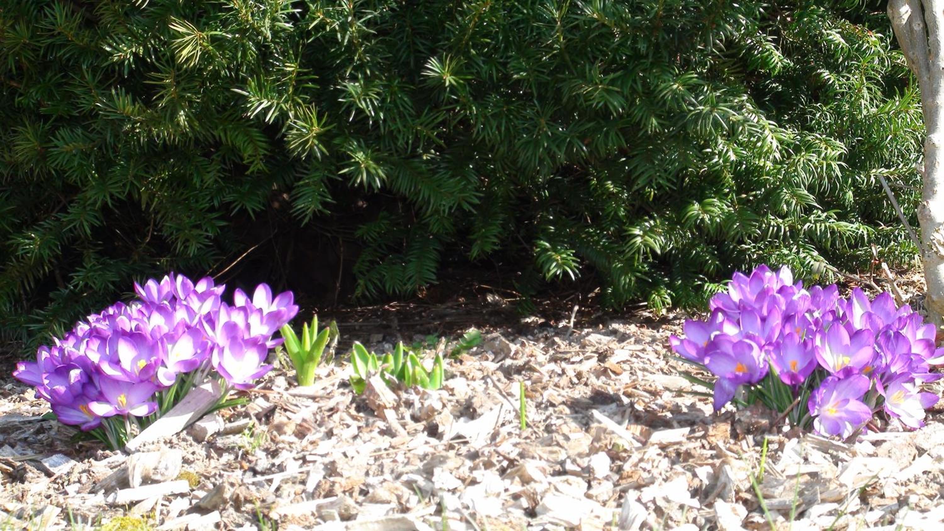 Photo 26