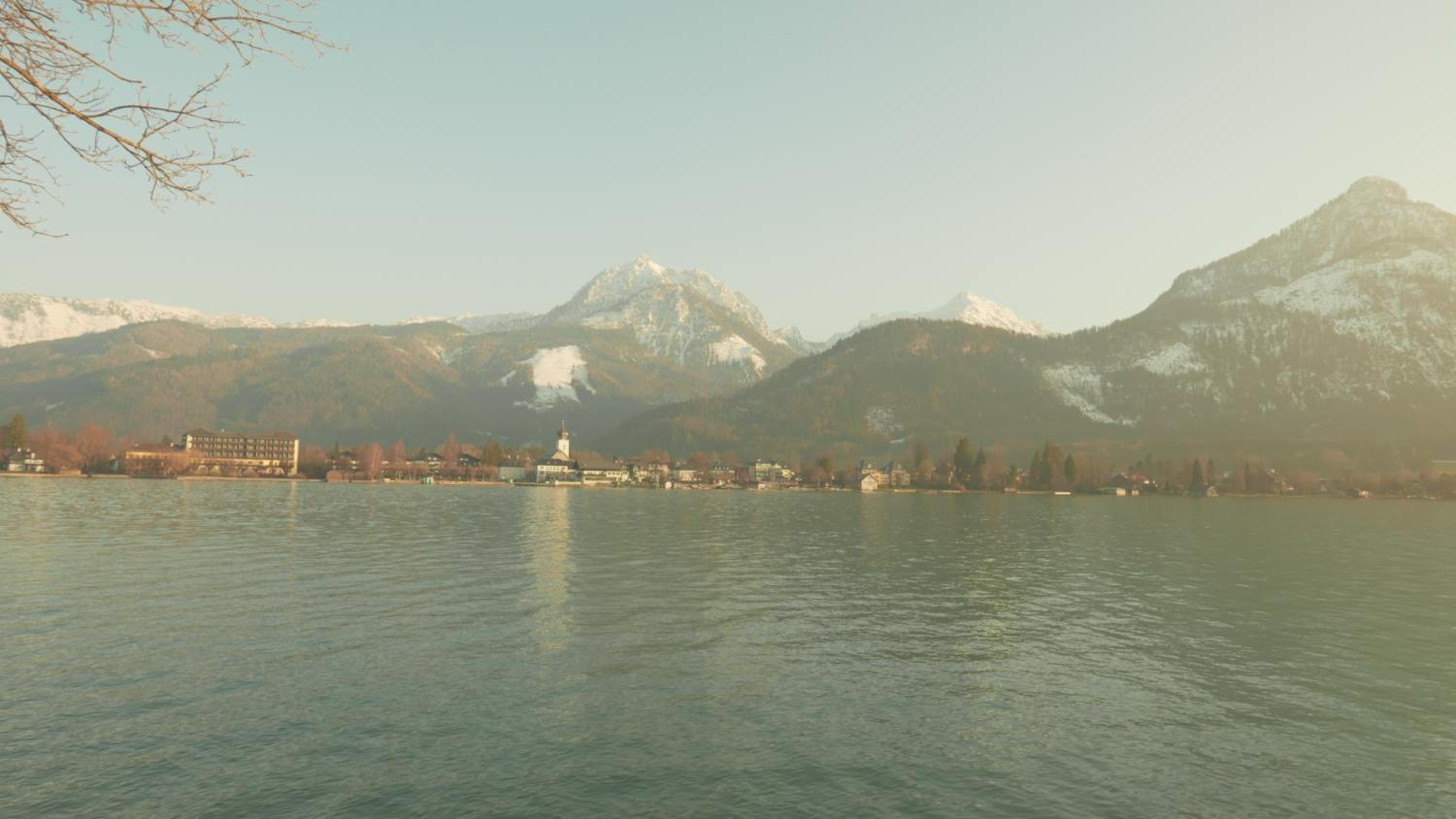 Photo 50