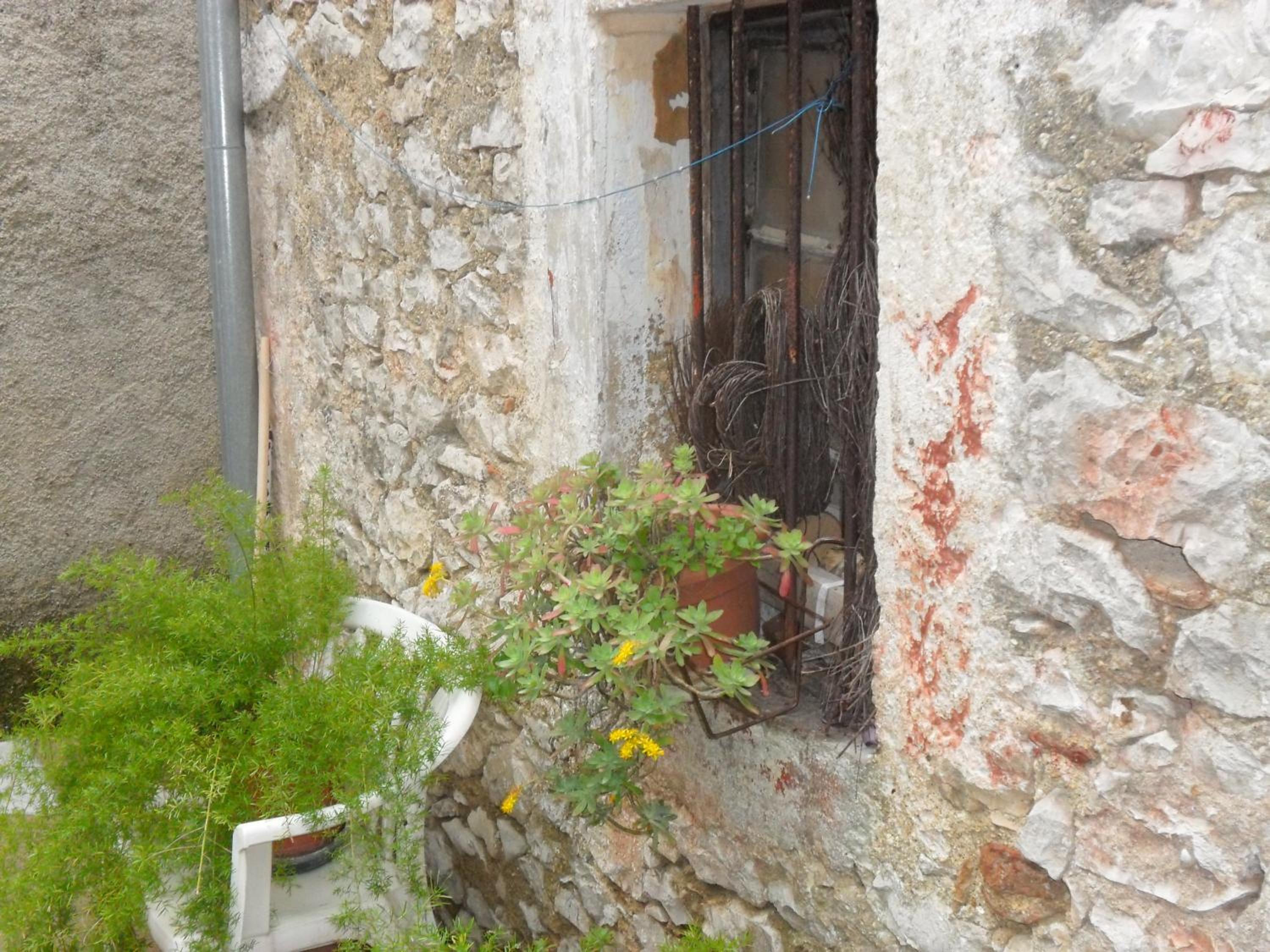 Photo 47