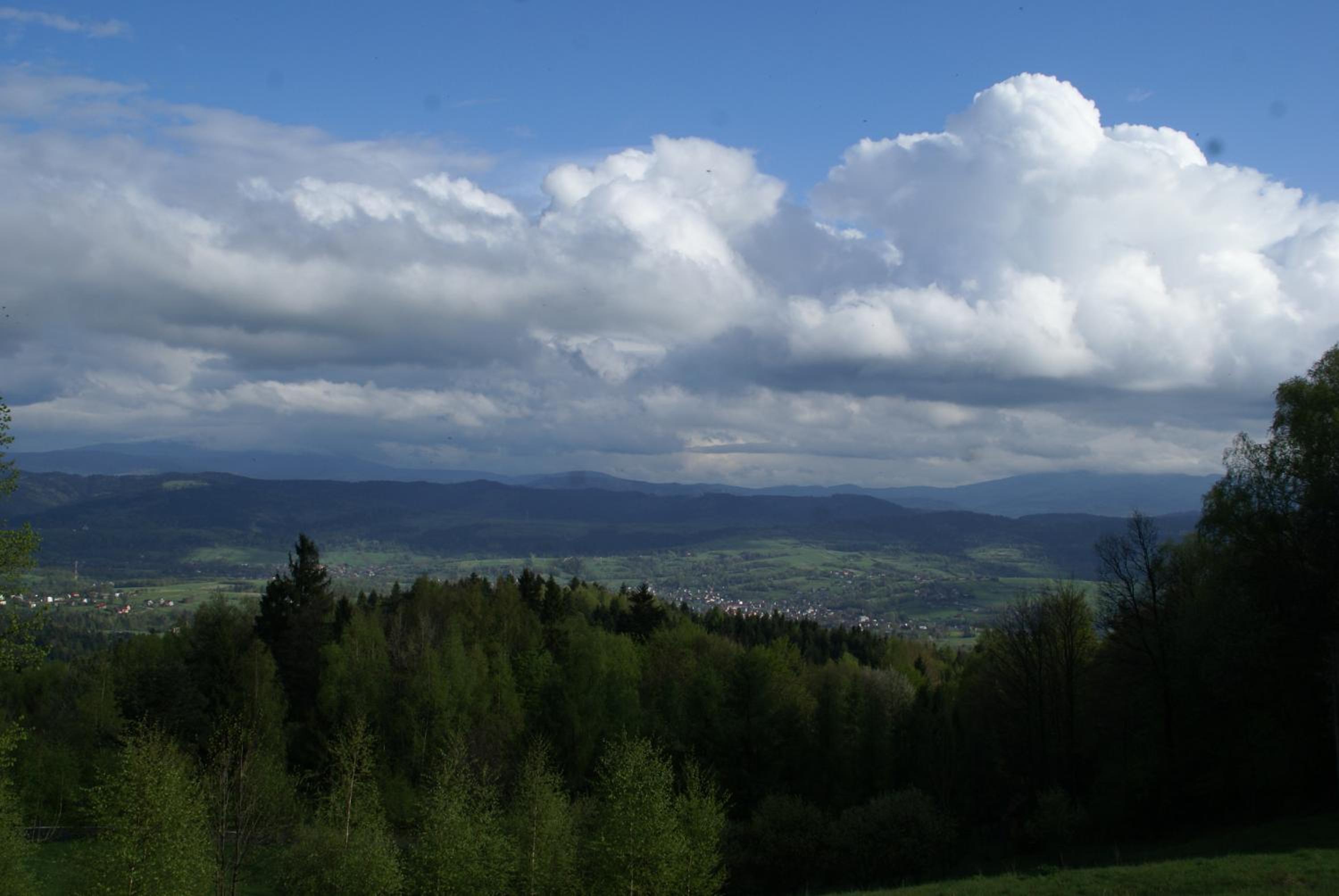 Photo 50