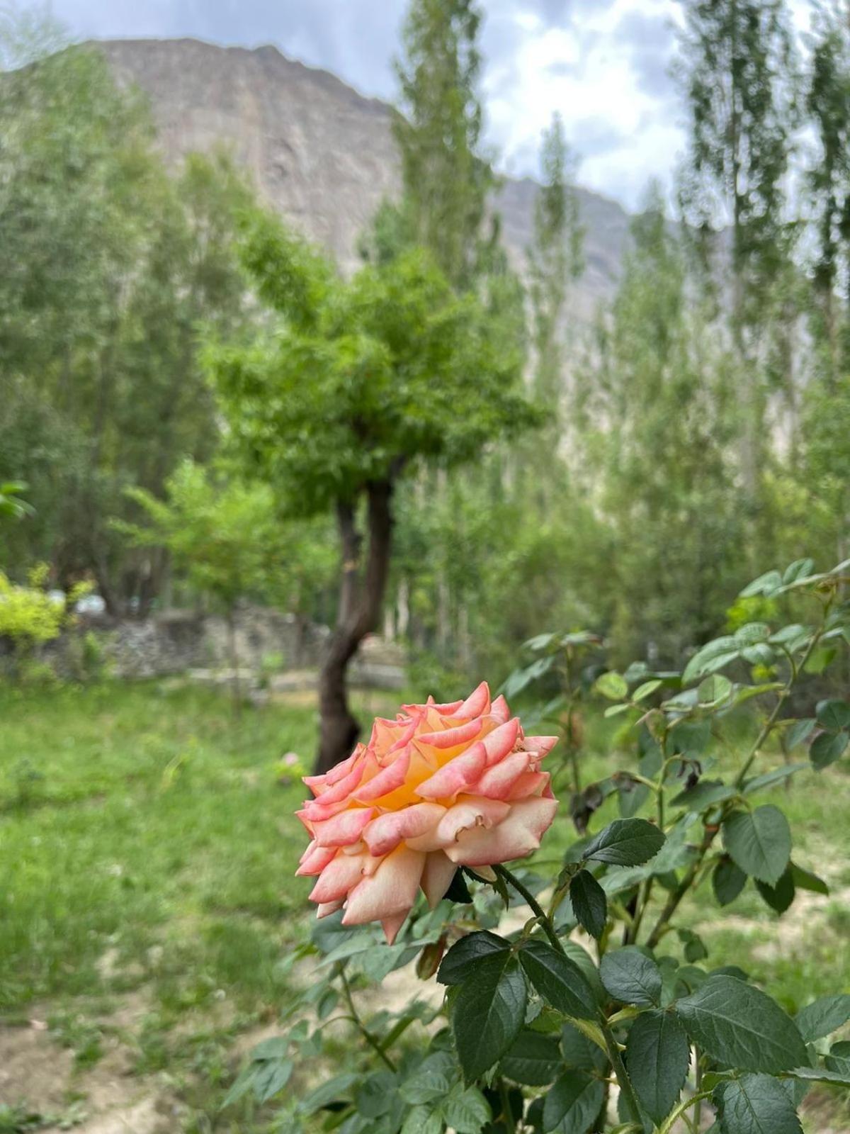 Photo 31